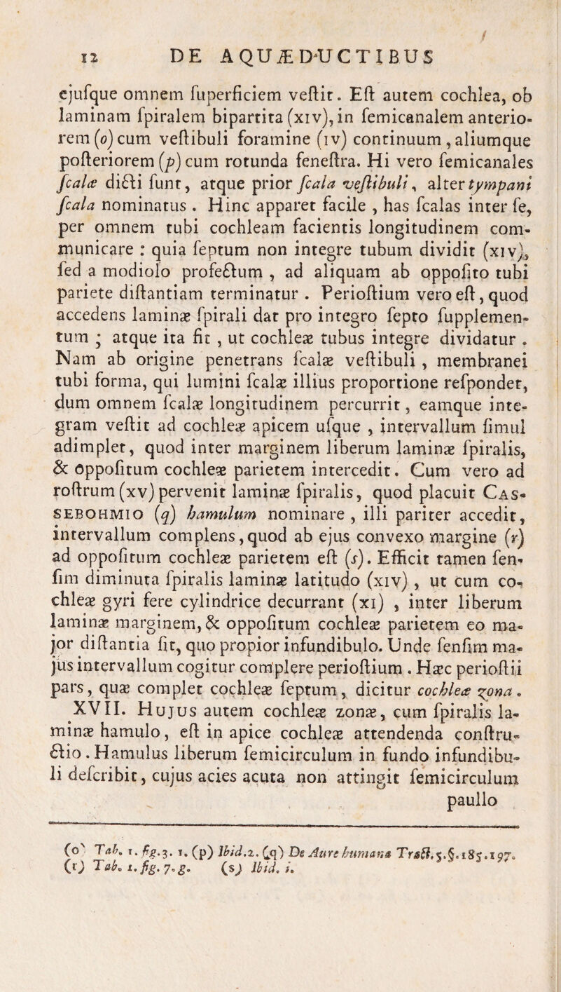 ejufque omnem fuperficiem vertit. Eft autem cochlea, ob laminam fpiralem bipartita (xiv), in femicanalem anterio¬ rem (0) cum veftibuli foramine (iv) continuum , aliumque pofteriorem [p) cum rotunda fenertra. Hi vero femicanales [cala difti funr, atque prior [cala vejlibull, alter tympani [cala nominatus . Hinc apparet facile , has fcalas inter fe, per omnem tubi cochleam facientis longitudinem com¬ municare : quia feptum non integre tubum dividit (xiv), fed a modiolo profeftum , ad aliquam ab qppofito tubi pariete dirtantiam terminatur . Perioftium veroeft, quod accedens laminae fpirali dat pro integro fepto fupplemen- tum • atque ita fit , ut cochleae tubus integre dividatur . Nam ab origine penetrans fcalae vertibuli , membranei tubi forma, qui lumini fcalae illius proportione refpondet, dum omnem fcalae longitudinem percurrit, eamque inte¬ gram vertit ad cochleae apicem ufque , intervallum fimui adimplet, quod inter marginem liberum laminae fpiralis, & oppofitum cochleae parietem intercedit. Cum vero ad rortrum(xv)pervenit laminae fpiralis, quod placuit Cas- sebohmio (q) hamulum nominare, illi pariter accedit, intervallum complens, quod ab ejus convexo margine (r) ad oppofitum cochleae parietem eft (r). Efficit tamen fen- fim diminuta fpiralis laminae latitudo (xiv) , ut cum co¬ chleae gyri fere cylindrice decurrant (xi) , inter liberum laminae marginem, & oppofitum cochlete parietem eo ma¬ jor diftantia fit, quo propior infundibulo. Unde fenfim ma« jus intervallum cogitur complere perioftium . Haec perioftii pars, quae complet cochlete feptum, dicitur cochlea ^ona. XVII. Hujus autem cochleae zon^, cum fpiralis la¬ mina hamulo, eft in apice cochleae attendenda conftru- £Iio. Hamulus liberum femicirculum in fundo infundibu¬ li defcribic, cujus acies acuta non attingit femicirculum paullo (o laK r. fe.3. t. (p) lbid.z. De Aure humana Trafl.t.6.185.197* (v) Tat. i. fig.7«g. (s) lbid. i.