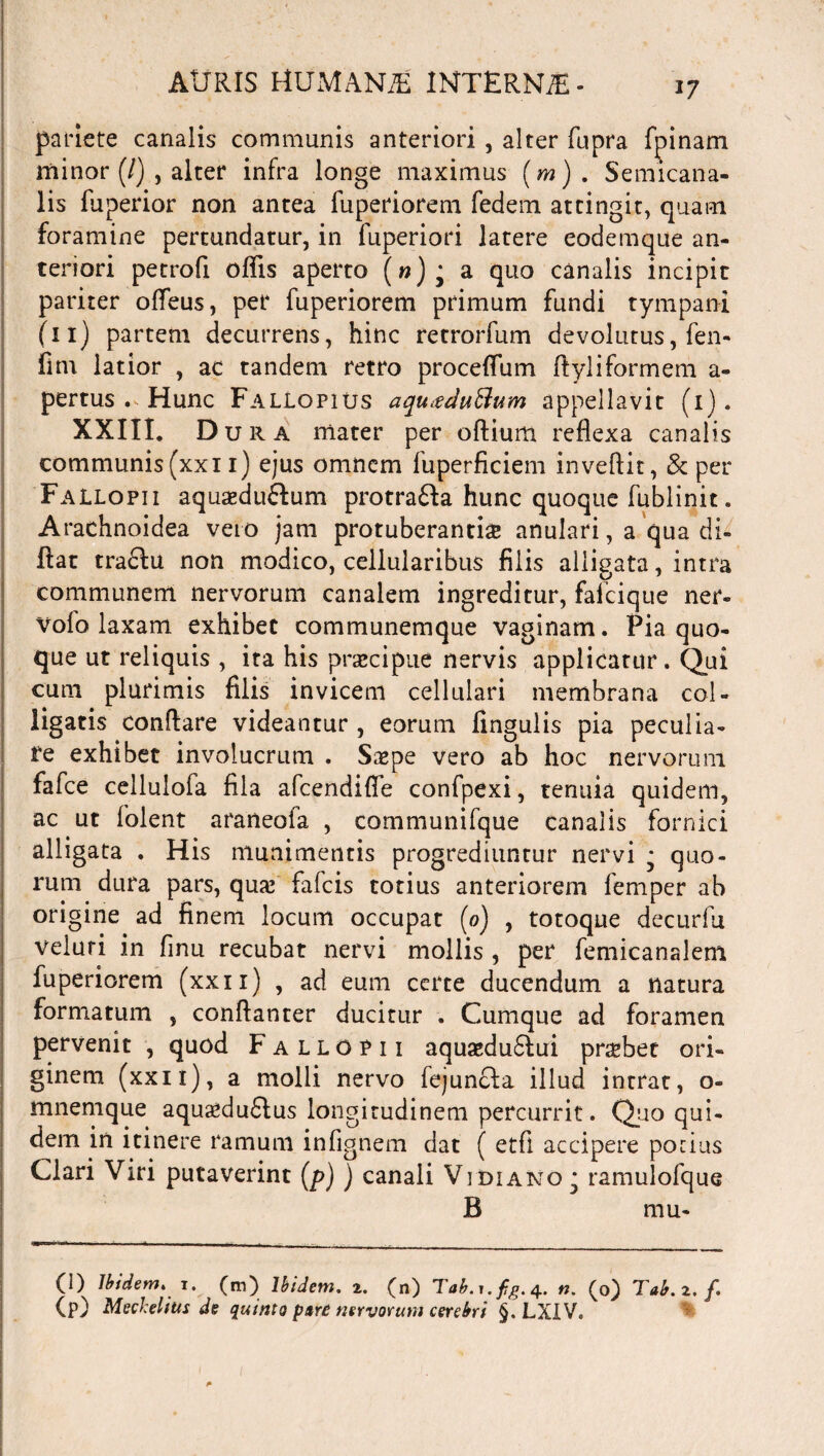 pariete canalis communis anteriori , alter fupra fpinam minor (/) , alter infra longe maximus (m) . Semicana¬ lis fuperior non antea fuperiorem fedem attingit, quam foramine pertundatur, in fuperiori latere eodemque an¬ teriori petrofi offis aperto (»); a quo canalis incipit pariter offeus, per fuperiorem primum fundi tympani (11) partem decurrens, hinc retrorfum devolutus, fen- fim latior , ac tandem retro proceffiim ftyliformem a- pertus . Hunc Fallopius aqu$cIuBum appellavit (1). XXIII. D ura mater per oftium reflexa canalis communis (xxi 1) ejus omnem fuperficiem inveftit, & per Fallopii aquasdu&um protrafta hunc quoque fublinit. Arachnoidea vero jam protuberantia anulari, a qua di- flat traclu non modico, cellularibus filis alligata, intra communem nervorum canalem ingreditur, faicique ner- vofo laxam exhibet communemque vaginam. Pia quo¬ que ut reliquis , ita his praecipue nervis applicatur. Qui cum plurimis filis invicem cellulari membrana col¬ ligatis conflare videantur , eorum lingulis pia peculia¬ te exhibet involucrum . Saepe vero ab hoc nervorum fafce cellulofa fila afcendifie confpexi, tenuia quidem, ac ut folent araneola , communifque canalis fornici alligata . His munimentis progrediuntur nervi * quo¬ rum dura pars, qua? fafcis totius anteriorem femper ab origine ad finem locum occupat (0) , totoque decurfu veluri in finu recubat nervi mollis , per femicanalem fuperiorem (xxii) , ad eum certe ducendum a natura formatum , conftanter ducitur . Cumque ad foramen pervenit , quod Fallopii aquaedu£lui praebet ori¬ ginem (xxii), a molli nervo fejuncla illud intrat, o- mnemque aquaedu£lus longitudinem percurrit. Quo qui¬ dem in itinere ramum infignem dat ( etfi accipere pocius Clari Viri putaverint (p) ) canali Vidiano^ ramulofque B mu- CO Ibidem. 1. (m) Ibidem, z. (n) Tab.j.fa.4. n. (o) Tab.z. f (p) Mechelitts de quinto p»r£ nervorum cerebri §. LXIV,