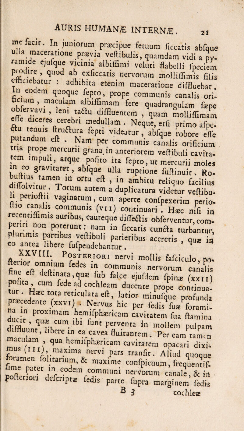 it mefadr. InJuniorum praecipue fetuum liceatis abfque lia maceratione prsvia vertibulis, quamdam vidi a py¬ ramide ejufque vicinia albiffimi veluti flabelli fpeciem prodire, quod ab exficcatis nervorum molliffimis filis effluebatur : adhibita etenim maceratione diffluebat, n eodem quoque fepro, prope communis canalis ori- flcium , maculam albifiimam fere quadrangulam fxpe obfervavi , leni tadtu diffluentem , quam molliffimam efle diceres cerebri medullam . Neque, etfi primo afpe- n.n tetnUIS nrUaUv,a reptl Vldeatur * abfque robore effle K* eft * ^am Per communis canalis orificium t ia prope mercurii grana in anteriorem vertibuli cavita¬ tem impuli, atque pofito ita Tepto, ut mercurii moles in eo gravitaret, abfque ulla ruptione fuftinuit. Ro- buft.us tamen ,n ortu eft , in ambitu reliquo facilius olvitur . Totum autem a duplicatura videtur veftibu- li penoftn vaginatum, cum aperte confpexerim perio- •tio canalis communis (vii) continuari . Ha:c nifi in recentiflimis auribus, cauteque diluis obferventur, com¬ periri non poterunt: nam in ficcatis confla turbantur p unmis partibus vertibuli parietibus accretis , qu* in eo antea libere fufpendebantur. ^ fterSVIn' PrS7ERIORI nervi collis fafciculo, po. fi 1 Fn ?n1-Um fedeS m communis nervorum canalis ne eft deftinata,qus fub falce ejufdem fpina: (xxn) po“ta , cum fede ad cochleam ducente prope continua- tur . ha>c tota reticulata eft, latior minufque profunda praecedente (xxvi) Nervus hic per fedisV/forami- duc r Pnr0Xlmam hJm>rP^ricam cavitatem fua flamina diffln ’ qu® CL,rn.lbl funt perventa in mollem pulpam maculam’ ea cavea fluitantem. Peream tamen mn ' .™ ; qUa bemrfphoncam cavitatem opacari dixi¬ mus (.11,, maxima nervi pars tranfit. Aliud quooue fim^pTret ffleoT’ & m3Xim- confPicuum’ frequenL- poftenon defer,pt* fedis parte fupra marginem Lis ® 3 cochlea*