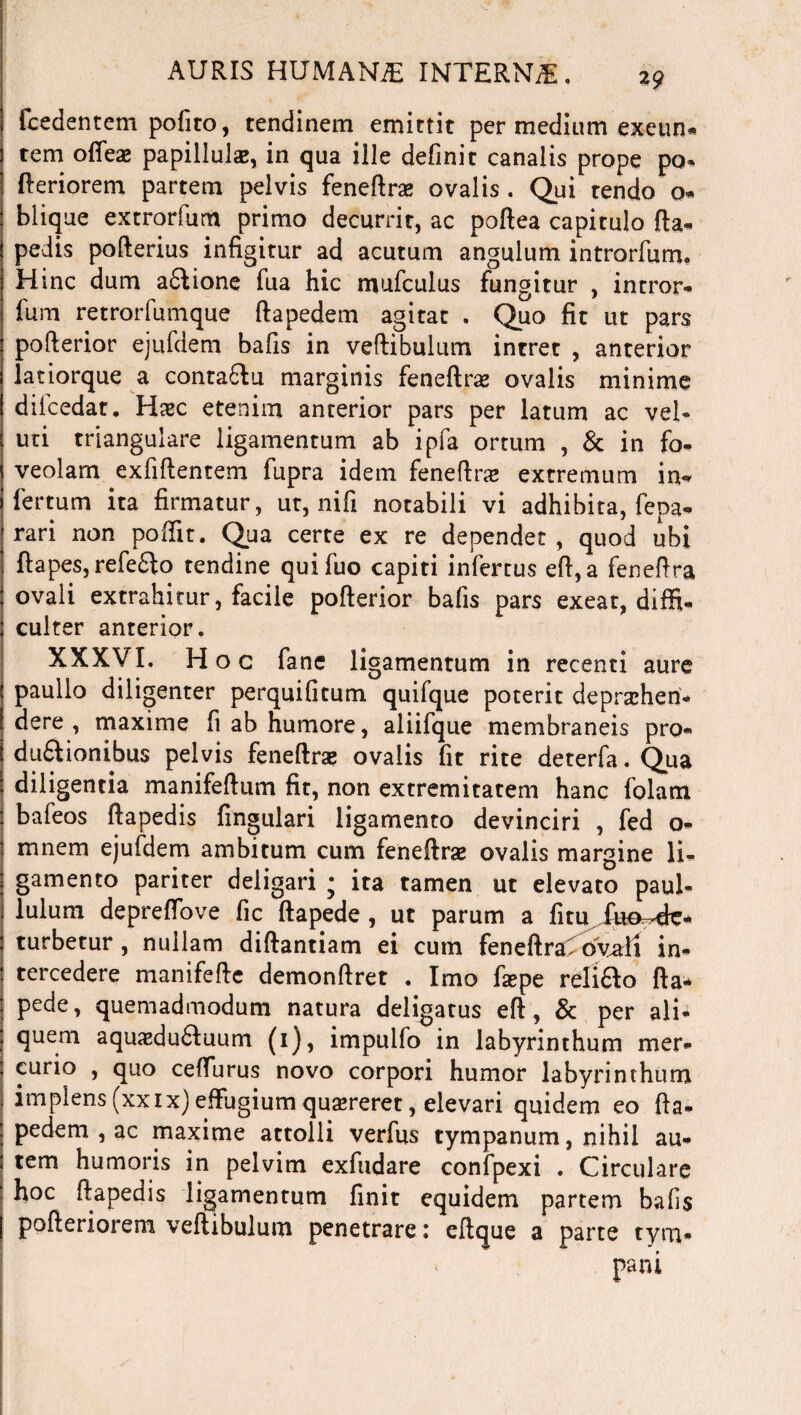 fcedentem pofiro, tendinem emittit per medium exeun- tem offeae papillulas, in qua ille definit canalis prope po- fteriorem partem pelvis feneftras ovalis . Qui tendo 0« blique extrorfum primo decurrit, ac poftea capitulo fla- pedis pofterius infigitur ad acutum angulum introrfum. H inc dum adlione fua hic mufculus fungitur , intror¬ fum retrorfumque ftapedem agitat . Quo fit ut pars pofterior ejufdem bafis in veftibulum intret , anterior latiorque a conta&u marginis feneftrse ovalis minime dilcedat. Hazc etenim anterior pars per latum ac vel- uti triangulare ligamentum ab ipfa ortum , & in fo¬ veolam exfiftentem fupra idem feneftra» extremum in* fertum ita firmatur, ut, ni fi notabili vi adhibita, fepa- rari non poffit. Qua certe ex re dependet , quod ubi ftapes, refedfo tendine quifuo capiti infertus efi,a feneftra ovali extrahitur, facile pofterior bafis pars exeat, diffi¬ culter anterior. XXXVI. Hoc fane ligamentum in recenti aure paullo diligenter perquifitum quifque poterit deprehen¬ dere , maxime fi ab humore, aliifque membraneis pro- duftionibus pelvis feneftras ovalis fit rite deterfa. Qua diligentia manifeftum fit, non extremitatem hanc folam bafeos ftapedis fingulari ligamento devinciri , fed o- mnem ejufdem ambitum cum feneftrae ovalis margine li¬ gamento pariter deligari ; ita tamen ut elevato paul- lulum depreffove fic ftapede , ut parum a fi tu fiia'de¬ turbetur , nullam diftantiam ei cum feneftraf ovali in¬ tercedere manifefte demonftret . Imo fiepe reli&o fta¬ pede, quemadmodum natura deligatus eft, 8c per ali¬ quem aquxdudfuum (1), impulfo in labyrinthum mer¬ curio , quo ceffurus novo corpori humor labyrinthum implens(xxix)effugiumqusereret, elevari quidem eo fta¬ pedem , ac maxime attolli verius tympanum, nihil au¬ tem humoris in pelvim exfudare confpexi . Circulare hoc ftapedis ligamentum finit equidem partem bafis pofteriorem veftibulum penetrare: eftque a parte tym¬ pani