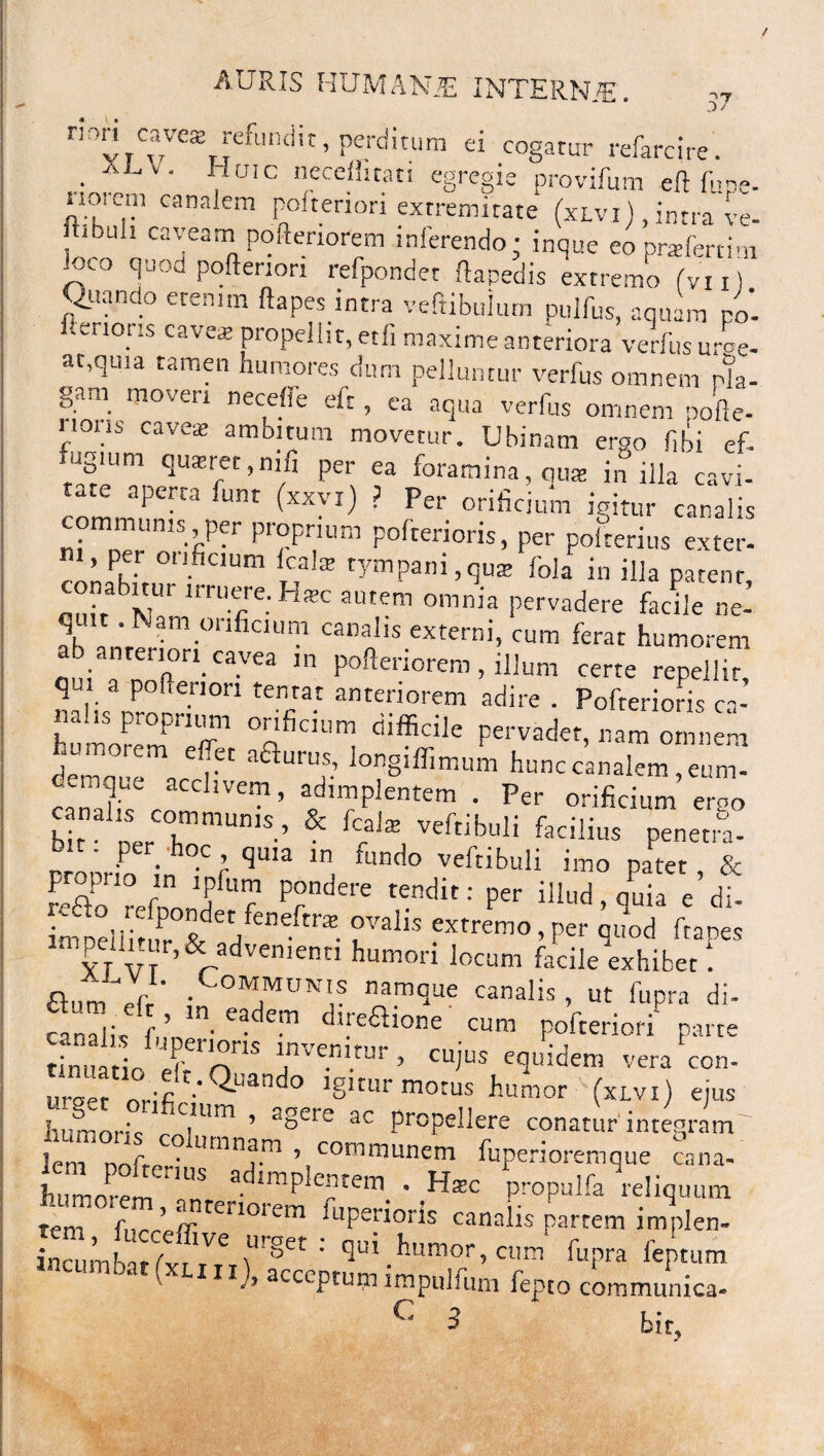mn caveas refundit, perditum ei cogatur refarcire. .. aJj V' , uic neceilitau egregie provifum eft fupe- noiem canalem polteriori extremitate (xlvi) , intra ve- ibuli caveam poftenorem inferendo; inque eoprafertim ioco quod poftenon refpondet ftapedis extremo fvi i} Quando etenim ftapes intra veftibuium pullus, aquam po- ‘Al0t:s cave* propellit, etfi maxime anteriora vernis urge¬ at,quia tamen humores dum pelluntur verius omnem nk- garsi moveri necefle eft, ea aqua verfus omnem pofle- nons cave* ambitum movetur. Ubinam ergo f,bi ef- ugium qusret, nifi per ea foramina, quas in illa cavi¬ tate aperta funt (xxvi) ? Per orificium igitur canalis communis, per proprium pofterioris, per poiterius exter! ■ , per onficium Icala» tympani,qus fola in illa patent “ , IT ‘T- ™» Pervadere fccile r,c V • N?m.unficiuni canalis externi, cum ferat humorem aa ,7nT'aVea ,n Pofleri°rem, illum certe repellit, q i poftenon tenrat anteriorem adire . Pofterioris ca¬ nalis proprium onficium difficile pervadet, nam omnem iZZtVf' aauruf.’ lon8iffimi™ hunc canalem, eum» >,dl?Pltntem 1 Per orificium eroo bit nerTmUn,S’ {f* Veftibuli fadlilIS P^etra- Dmurin In f ^ ^ fu“d° Veftibuli P«Ct , & feifto refnonfT ”ndit: Per illud,quia e di- in Ddl 5r ,?et/en ra rhS eXtrem° ’ Per <Fod ftapcs impeiii_ur,& advemen humori locum facile exhibet! £fum 1 .OM™v*\s na®que canalis, ut fupra di- canalis ^ Cm ^ne^one curn pofteriori parte tim io eirrnr,S ’ CLPUS C(luidem '-'era «>n. uree! orifi ‘;Q!,and0 ,6ltur motus humor (xlvi) eius humoris r ’ *%Cr(2 ac Propellere conatur'integram l^&rsz&rs ***m.°°~ incumbat fvi P6 humor, cum fupra leptum • cumbat («.in), acceptum impulfum fepto communica- C 3 bit.
