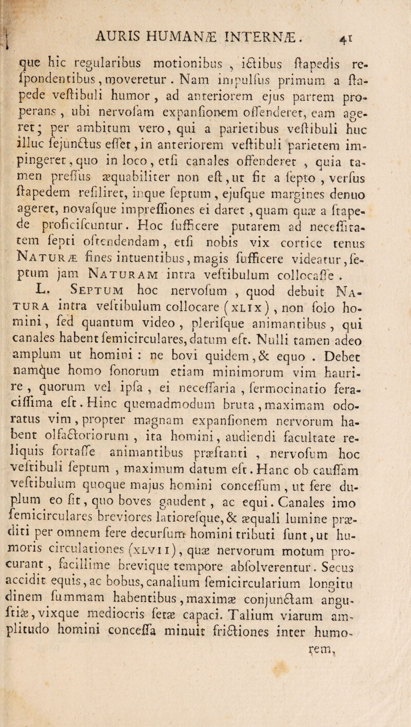 que hic regularibus motionibus , iEtibus ftapedis re- fpondentibus, moveretur . Nam impulfus primum a fta- pede veftibuli humor , ad anteriorem ejus partem pro» perans , ubi nervolam expanfionem offenderet, eam age¬ ret; per ambitum vero, qui a parietibus veftibuli huc illuc fejun&us eflet, in anteriorem veftibuli parietem im¬ pingeret, quo in loco, ctfi canales offenderet , cula ta» men preffus aequabiliter non eft,ut fit a iepto , verfus ftapedem refiliret, inque feptum , ejufque margines denuo ageret, novafque imprefliones ei daret , quam quae a ftape- de proficifcuntur. Hoc fufficere putarem ad neceffita- cem fepti oftcndendam, etfi nobis vix cortice tenus Natur/e fines intuentibus,magis fufficere videatur,fe¬ ptum jam Naturam intra veftibulum collocaffe . L. Septum hoc nervofum , quod debuit Na¬ tura intra veftibulum collocare (xltx) , non folo ho¬ mini, fed quantum video, plerifque animantibus, qui canales habent femicirculares, datum eft. Nulli tamen adeo amplum ut homini: ne bovi quidem,& equo . Debet namque homo fenorum etiam minimorum vim hauri¬ re , quorum vel ipfa , ei neceffaria , fermocinatio fera- ciftima eft. Hinc quemadmodum bruta , maximam odo¬ ratus vim , propter magnam expanfionem nervorum ha¬ bent olfa floriorum , ita homini, audiendi facultate re¬ liquis fortaffe animantibus praefranti , nervofum hoc veftibuli feptum , maximum datum eft. Hanc ob cauffam veftibulum quoque majus homini conceffum , ut fere du¬ plum eo fit, quo boves gaudent, ac equi. Canales imo femicirculares breviores latiorefque, Sc tequali lumine prte- tiiti per omnem fere decurfum homini tributi funt,uc hu¬ moris circulationes (xlvi 1), quae nervorum motum pro¬ curant , facillime brevique tempore abiolverentur. Secus accidit equis,ac bobus,canalium femicircularium longitu dinem fummam habentibus, maximas conjunflarn angu- fria?, vixque mediocris ferte capaci. Talium viarum am¬ plitudo homini conceffa minuit frifliones inter humo- rem.