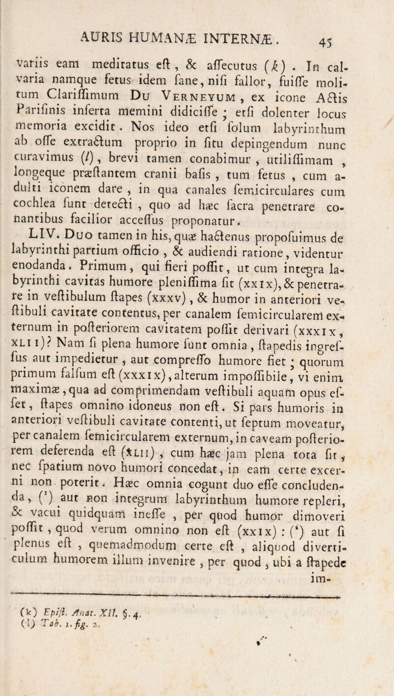 45 variis eam meditatus eft , & aflecutus (k) • Tn cal- varia namque fetus idem fane,nifi fallor, fuifie moli¬ tum Ciariffimum Du Verneyum, ex icone AEiis Parifinis inferta memini didiciffie • etfi dolenter locus memoria excidit. Nos ideo etfi folum labyrinthum ab offie extra&um proprio in fi tu depingendum nunc curavimus (/), brevi tamen conabimur i utilifiimam , longe que proflantem cranii bafis , tum fetus , cum a- dulti iconem dare , in qua canales femicirculares cum cochlea lunt detecfi , quo ad hoc facra penetrare co® liantibus facilior accefius proponatur» LIV* Duo tamen in his, quo ha&enus propofuimus de labyrinthi partium officio , audiendi ratione, videntur enodanda* Primum, qui fieri poffit, ut cum integra la¬ byrinthi cavitas humore pleniffima fit (xxix),&penetra- re in veftibulum ftapes (Xxxv), & humor in anteriori ve- flibuli cavitate contentus, per canalem femicircularem ex¬ ternum in pofteriorem cavitatem poffit derivari (xxxix, xli i)? Nam fi plena humore funt omnia , fiapedis ingref- fus aut impedietur , aut comprefto humore fiet • quorum primum fallunt eft (xxxix),alterum impoffibiie, vi enim maximo,qua ad comprimendam veftibtili aquam opus ef¬ fiet, ftapes omnino idoneus non eft* Si pars humoris in anteriori veftibuli cavitate contenti, ut fieptum moveatur, per canalem femicircularem externum, in caveam pofterio¬ rem deferenda eft (itu) , cum hoc jam plena tota fiir i nec fipatium novo humori concedat, in eam certe excer¬ ni non poterit. Hoc omnia cogunt duo e fle concludens da, ( ) aut non integrum labyrinthum humore repleri, uc vacui quidquam ineffie , per quod humor dimoveri poffit , quod verum omnino non eft (xxix) : (*') aut fi pienus eft , quemadmodum certe eft , aliquod diverti¬ culum humorem illum invenire , per quod , ubi a ftapedc im- (k) Epifl. Anat.XIi. §,4.