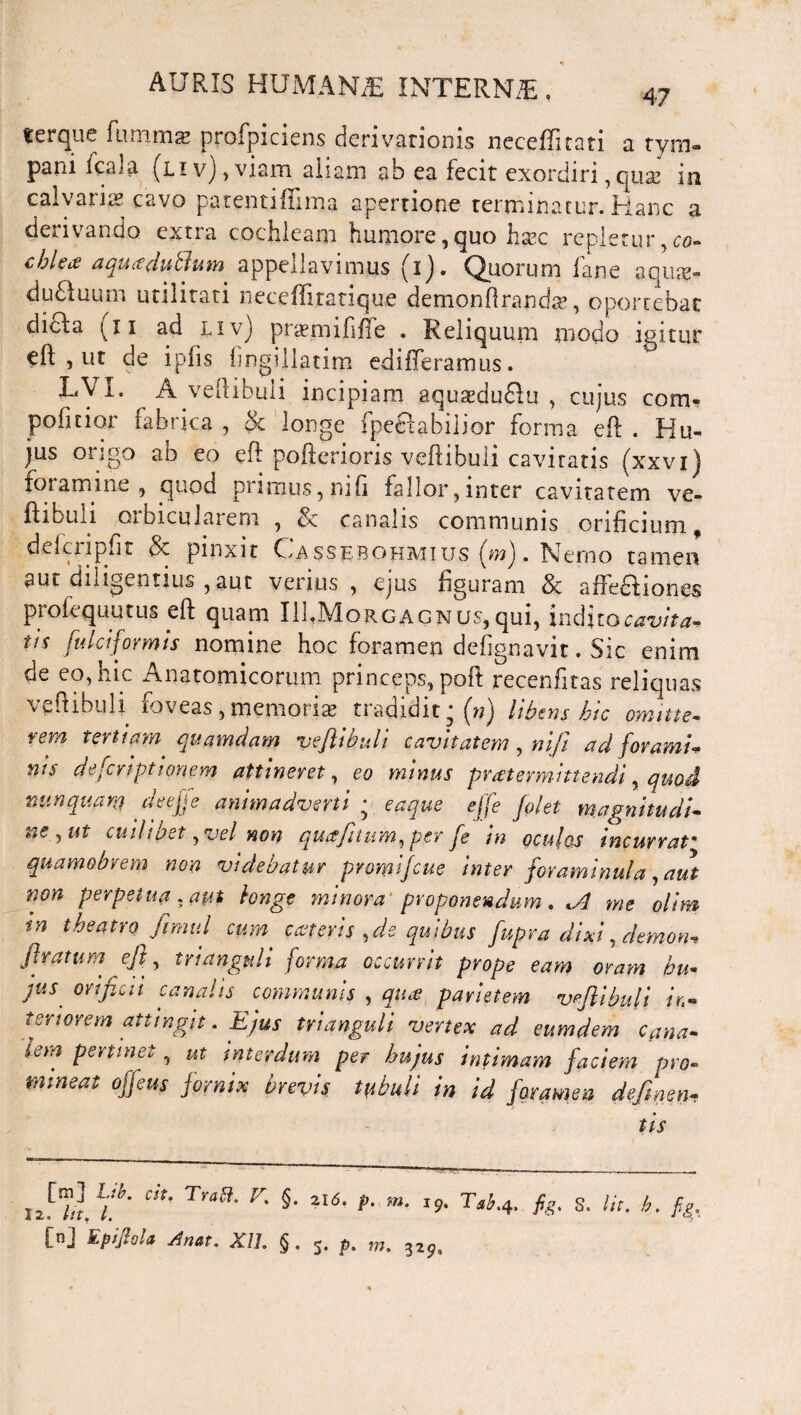 47 terque fu m mas profpiciens derivationis neceffitati a tym¬ pani fcala (li v) , viam aliam ab ea fecit exordiri ,qua? in calvaris cavo patentififima apertione terminatur. Hanc a derivando extra cochleam humore, quo hsec repletur y co¬ chlea? aqu(C(lutlum appellavimus (ij. Quorum lane aquas™ dudluum utilitati neceffitatique demonftrandas, oportebat dicla (ii ad liv) praemififfe . Reliquum modo igitur eft , ut de ipfis fmgillatim edi Heram lis . LVI. A veftibuli incipiam aqusdudlu , cujus com* politior fabrica , 3c longe fpeelabilior forma eft . Hu¬ jus origo ab eo eft poftcrioris veftibuli cavitatis (xxvi) foramine, quod primus, ni fi fallor, inter cavitatem ve¬ ftibuli orbicularem , Sc canalis communis orificium, dekripfit & pinxit Uassebohmius fn). Heroo tamen aut diligentius ,aut verius , ejus figuram & affedliones profequutus eft quam IlhMoRGACNus,qui, indkocavita- tis fulci formis nomine hoc foramen defignavit. Sic enim de eo,hic Anatomicorum princeps, poft recenfitas reliquas veftibuli foveas, memoris tradidit* (n) libens hic omitte- rem tertiam quamdam veftibuli cavitatem, niji ad foramu nis defcriptioriem attineret, eo minus praetermittendi, quod nunquam deef e animadverti • e a que ejfe /plet magnitudi- acciit cuilibet, vel non quafttum^per fe in oculos incurrat• quamobrem non videbatur promifeue inter foraminulp, aut non perpetua, aut longe minora proponendum. ,*A me olim in theatro ftmul cum. exteris ,de quibus fupra dixi, demon, ftratum eft, trianguli forma occurrit prope eam oram hu¬ jus orificii canalis communis , quae parietem veftibuli in» tenorem attingit. Ejus trianguli vertex ad eumdem cana- lem pertinet, ut interdum per hujus intimam faciem pro¬ mineat offeus jornix brevis tubuli in id foramen defiinen- tis 'llh' Ch' Tra!i' V- §- t- ’9- fg. S. Iit. b. fig,