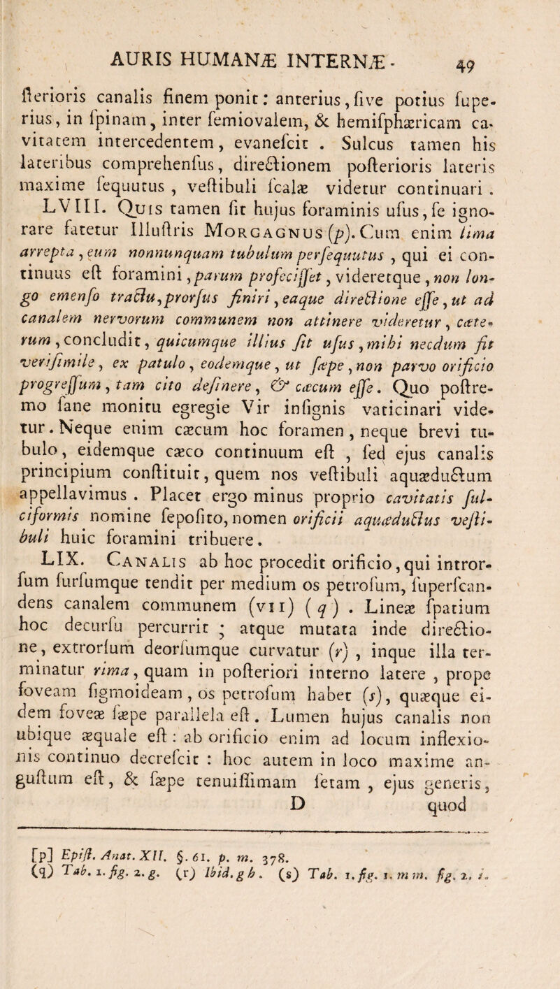 Aerioris canalis finem ponit: anrerius , five potius fupe- rius, in lpinatn, inter femiovalem, & hemifphacricam ca* vitarem intercedentem, evanefcit . Sulcus tamen his lateribus comprehendis, diredlionem pofterioris lateris maxime lequutus , veftibuli Icalae videtur continuari . L\ III. Quis tamen fit hujus foraminis ufus,fe igno¬ rare fatetur Uluilris Morgagnus (pf Cum enim lima arrepta , eum nonnunquam tubulum perfequutus , qui ei con¬ tinuus eft foramini y parum profeci fjet, videretque , non lon¬ go emenfo traftuypYorfus finiri, ea que diretlione ejfe yut ad canalem nervorum communem non attinere videretur, Cctte* ntm , concludit, quicumque illius Jit ujus , mihi necdum fit verijimtle, ex patulo, eodemque, ut fepe^non parvo orificio progreffum, tam cito definere, & cxcum effe. Quo poftre- mo fane monitu egregie Vir infignis vaticinari vide¬ tur . Neque enim cascum hoc foramen , neque brevi tu¬ bulo, eidemque caeco continuum efi , feci ejus canalis principium conftituit, quem nos vefiibuli aquaedudtum appellavimus . Placet ergo minus proprio cavitatis fui- ciformis nomine fepofito, nomen orificii aqugduBus vejli- buli huic foramini tribuere. LIX. Canalis ab hoc procedit orificio,qui intror- fum furfumque tendit per medium os petrofum, fuperfcan- dens canalem communem (vii) {q) • Lineae fpatium hoc decurfu percurrit * atque mutata inde diredlio- ne, extrorlum deorfumque curvatur (r) , inque illa ter¬ minatur nma, quam in pofteriori interno latere , prope foveam figmoideam , os pctrolum habet (s)f quaeque ei¬ dem foveae ixpe parallela eft. Lumen hujus canalis non ubique aequale efi : ab orificio enim ad locum inflexio¬ nis continuo decreicit : hoc autem in loco maxime an- gufiurn efi, & faepe tenuifiimam fetam, ejus generis, ip] Eprfl. Anat. XII. §.61. p. m. 378. 00 Tab. i.fig. 2.g. Ibid.gh. (s) Tab. ufig. u m m. fg. 2. /.