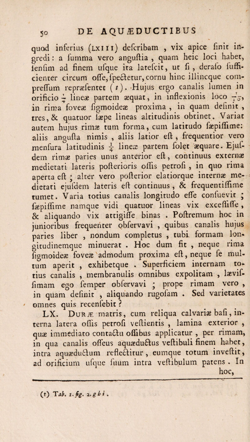 quod inferius (lxixi) defcribam , vix apice finit in¬ gredi : a fumma vero anguftia , quam heic loci habet, ienfim ad finem ufque ita latefcit, ut fi , deralo fuffi- cienter circum offe, fpecietur, cornu hinc illincquc com- preffum repraefentet (*). -Hujus ergo canalis lumen in orificio ~ lineae partem aequat, in inflexionis loco TVi in rima foveae figmoideae proxima , in quam delinit , tres,& quatuor laepe lineas altitudinis obtinet. Variat autem hujus rimae tum forma, cum latitudo faepiflime: aliis angufta nimis , aliis latior eft , frequentior vero menfura latitudinis ~ lineae partem folet aequare. Ejuf- dem rimae paries unus anterior eft, continuus externae medietati lateris pofterioris offis petrofi , in quo rima aperta eft * alter vero pofterior elatiorque internae me¬ dietati ejufdem lateris eft continuus , & frequentiffime tumet. Varia totius canalis longitudo efle confuevit ; ftepiffime namque vidi quatuor lineas vix exceffifle , & aliquando vix attigiffe binas . Poftremum hoc in junioribus frequenter Qbfervavi , quibus canalis hujus paries liber , nondum completus , tubi formam lon- gitudinemque minuerat . Hoc dum fit , neque rima figmoidese foveae admodum proxima eft, neque fe mul¬ tum aperit , exhibetque . Superficiem internam to¬ tius canalis , membranulis omnibus expolitam , laevif- fimam ego femper obfervavi ; prope rimam vero , in quam definit , aliquando rugofam . Sed varietates ' omnes quis recenfebit ? LX. DuRiE matris , cum reliqua calvariae bafi, in¬ terna latera ofiis petrofi veftientis , lamina exterior , qux immediato conta£iu offibus applicatur , per rimam, in qua canalis ofleus aquaedu£lus veftibuli finem habet, intra aqu«du6Ium reflectitur, eumque totum inveftit, ad orificium ufque fuum intra veftibulum patens . In hoc, (t) Tab. t.fig. z-gb * *