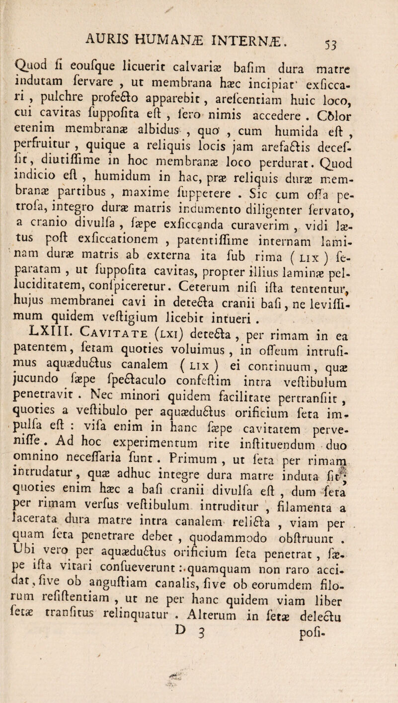 Quod li eoufque licuerit calvarias bafim dura matre indutam fervare , ut membrana haec incipiat' exficca- li , pulchre profedlo apparebit, arelcentiam huic loco, cui cavitas fuppofita eft , iero nimis accedere . CMor etenim membranas albidus , quo‘ , cum humida eft , perfruitur , quique a reliquis locis jam arefa&is dccef- fit, diutiftime in hoc membranae loco perdurat. Quod indicio eft , humidum in hac, prae reliquis durae mem¬ branae partibus , maxime fuppetere . Sic cum offa pe- troia, integro durae matris indumento diligenter fervato, a cranio divulfa , f^pe exficcanda curaverim , vidi lae¬ tus poft exficcationem , patentiflime internam lami¬ nam durae matris ab externa ita fub rima (lix) fe- pararam , ut fuppofita cavitas, propter illius laminae pel» luciditatem, conipiceretur. Ceterum nifi ifta tentenrur, hujus membranei cavi in deteaa cranii bafi, ne leviffi- mum quidem veftigium licebit intueri . LXIII. Cavitate (lxi) detedla , per rimam in ea patentem, fetam quoties voluimus , in offeum intrufi- mus aquaedu&us canalem (lix) ei continuum, qus jucundo laepe fpedlaculo confeftim intra veftibulum penetravit . Nec minori quidem facilitate pertranfiit , quoties a veftibulo per aquaeduftus orificium feta im* pulfa eft . vifa enim in hanc faspe cavitatem perve- nifte . Ad hoc experimentum rite inftituendum duo omnino neceftaria funt . Primum , ut feta per rimam intrudatur, qua; adhuc integre dura matre induta fittf quoties enim haec a bafi cranii divulfa eft , dum feta per rimam verfus veftibulum intruditur , filamenta a lacerata diu a matre intra canalem relidla , viam per quam feta penetrare debet , quodammodo obftruunt . Ubi vera per aquaeduftus orificium feta penetrat , fae. pe ifta vitari confueverunt :«quamquam non raro acci- dat, five ob anguftiam canalis, five ob eorumdem filo- ium tefiftentiam , ut ne per hanc quidem viam liber fetae tranfitus relinquatur . Alterum in ktx dekau D 3 pofi-