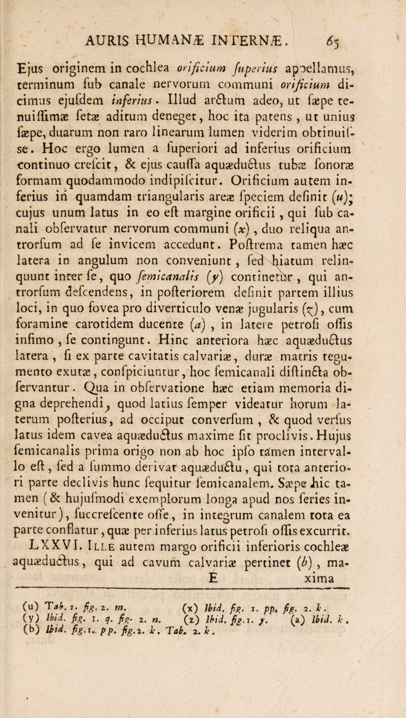 Ejus originem in cochlea orificium Juperius appellamus, terminum fub canale nervorum communi orificium di¬ cimus ejufdem inferius. Illud ar&um adeo, ut fape te¬ nui Hi ms fets aditum deneget, hoc ita patens , ut unius faepe, duarum non raro linearum lumen viderim obtinuil- se. Hoc ergo lumen a fuperiori ad inferius orificium continuo crefcit, & ejus cauda aquaeduclus tubce fonorae formam quodammodo indipifeitur. Orificium autem in¬ ferius iti quamdam triangularis areae fpeciem definit (u)m cujus unum latus in eo eft margine orificii , qui fub ca¬ nali obfervatur nervorum communi (x), duo reliqua an- trorfum ad fe invicem accedunt. Poftrema tamen haec latera in angulum non conveniunt , fecNhiatum relin¬ quunt inter fe, quo femicanalis (y) continetur, qui an- trorfum defeendens, in pofleriorem definit partem illius loci, in quo fovea pro diverticulo venae jugularis (^), cum foramine carotidem ducente (a) , in latere petrofi odis infimo , fe contingunt. Hinc anteriora haec aquaedu6Ius latera , fi ex parte cavitatis calvaris, durae matris tegu¬ mento exutae, confpiciuntur, hoc femicanali diftin&a ob- fervantur. Qua in obfervatione haet etiam memoria di¬ gna deprehendi, quod latius femper videatur horum la¬ terum pofterius, ad occiput converfum , & quod verius latus idem cavea aquaedu£Ius maxime fit proclivis.Hujus femicanalis prima origo non ab hoc ipfo tamen interval¬ lo efi, fed a fummo derivat aquazdu&u, qui tora anterio¬ ri parte declivis hunc fequitur femicanalem. Saepe Jhic ta¬ men (& hujulmodi exemplorum longa apud nos feries in¬ venitur), fuccrefcente offe, in integrum canalem tota ea parte conflatur, qiue per inferius latus petrofi offis excurrit. LXXVI. Ille autem margo orificii inferioris cochleae aqu&du£Ius, qui ad cavum calvaris pertinet (b) , ma- E xima (u) Tab. 1. fg. 2. m. (x) lbid. fig. i. ppA fig. 2. h. (y) lbid. fig. 1. q. fig. 2. n. (z) lbid. fig. 1. y. (a) lbid. h. (b) lbid. fig,t._pp. fig.z. h. TabA 2. k.