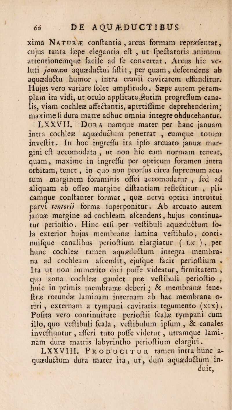 xima Naturje conflantia , arcus formam repraefentar, cujus tanta laepe elegantia eft , ut fpe&atoris animum atcentionemque facile ad fe convertat. Arcus hic ve- luti januam aquaedu£lui fiftit, per quam, defeendens ab aquaedu&u humor , intra cranii cavitatem effunditur. Hujus vero variare folet amplitudo. Saepe autem peram¬ plam ita vidi, ut oculo applicato,ftatim progreffum cana¬ lis, viam cochleae affe&antis, apertiffime deprehenderim* maxime fi dura matre adhuc omnia integre obducebantur. LXXVII. Dura namque mater per hanc januam intra cochleae aquxdu&um penetrat , eum que totum inveftit. In hoc ingreffu ita i pio arcuato januae mar¬ gini eft accomodata , ut non hic eam normam teneat, quam, maxime in ingreffu per opticum foramen intra orbitam, tenet, in quo non prorfus circa fupremum acu¬ tum marginem foraminis offei accomodarur , led ad aliquam ab offeo margine diftantiam refleftitur , pli¬ camque conftanter format , quae nervi optici introitui parvi tentorii forma fuperponitur. Ab arcuato autem januae margine ad cochleam afeendens, hujus continua¬ tur perioftio. Hinc etfi per vertibuli aquaedu&um fo* la exterior hujus membrana lamina vertibulo, conti- nuifque canalibus perioftium elargiatur ( lx ) , per hunc cochleae tamen aquaedu&um integra membra* na ad cochleam afeendit, ejufque facit perioftium . Ita ut non immerito dici noffe videatur, firmitatem , qua zona cochleae gaudet prae vertibuli perioftio , huic in primis membranae deberi • & membrana? fene- ftrae rotundae laminam internam ab hac membrana o- riri , externam a tympani cavitatis tegumento (xix). Polita vero continuitate perioftii fcalae tympani cum illo, quo vertibuli fcala , vertibulum ipfum , & canales inveftiuntur , affer i tuto poffe videtur , utramque lami¬ nam durae matris labyrintho perioftium elargiri. LXXVIII. Producitur tamen intra hunc a- quaeduftum dura mater ita, ut, dum aquaedu£him in¬ duit,