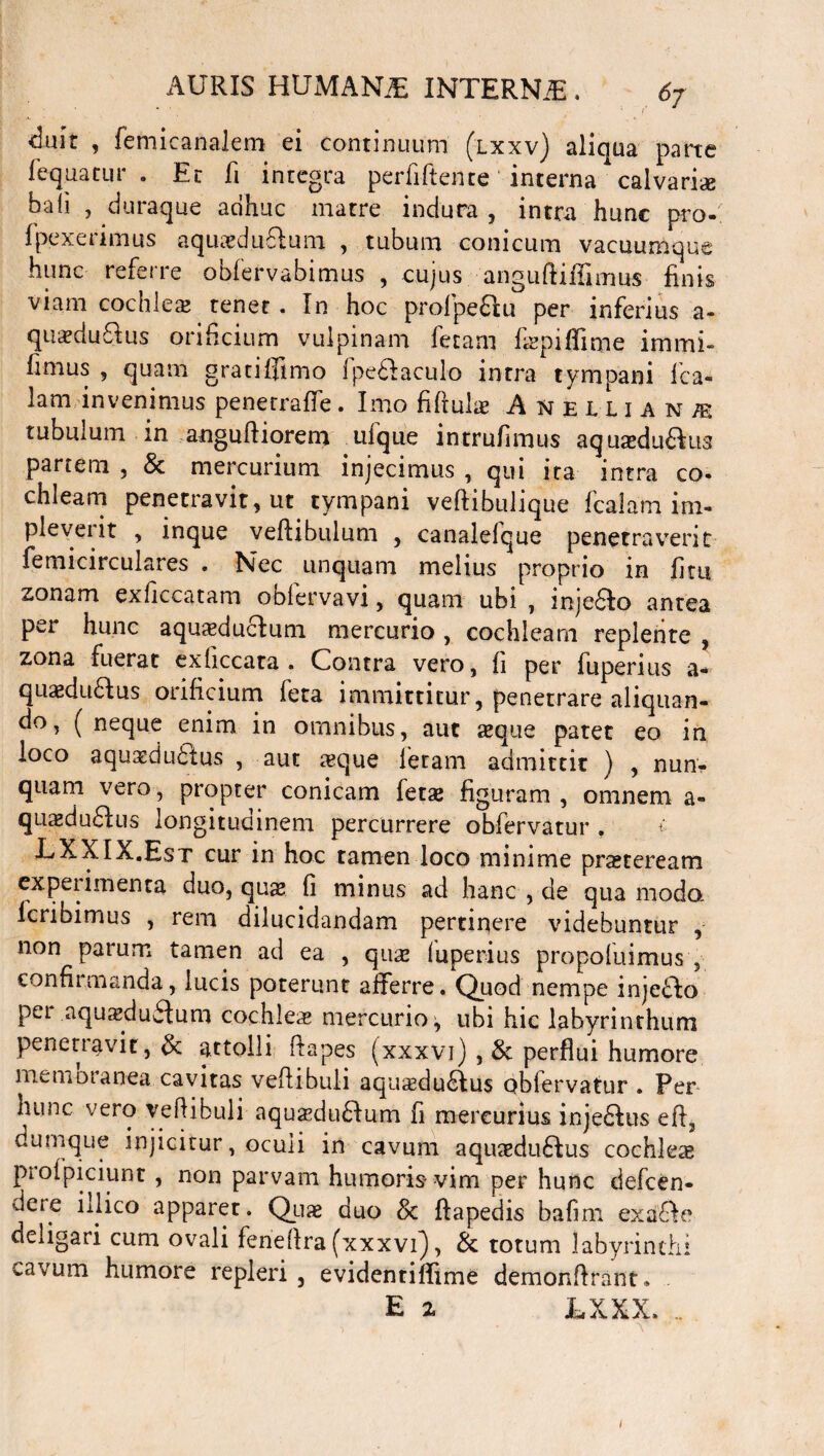 duit , femicanalem ei continuum (lxxv) aliqua parte fequatur . Et fi integra perfiftente interna calvari* bali , duraque adhuc matre indura , intra hunc pro- 1pexerimus aquaduftum , tubum conicum vacuumque hunc referre obfervabimus , cujus anguftiffimus finis viam cochlese tenet. In hoc profpe&u per inferius a- quaeduQus orificium vulpinam fetam fipiffune immi- limus , quam gratifilmo Ipedlaculo intra tympani fica- lam invenimus penerrafie. Imo fiftulse Aneuianjb tubulum in angufiiorem ufque intrufimus aquaedu&us partem , & mercurium injecimus , qui ita intra co- chleam penetravit, ut tympani veftibulique fcalarn im- pleveiit , inque veftibulum , canalefque penetraverit femicirculares . Nec unquam melius proprio in fi tu zonam exficcatam oblervavi, quam ubi , inje6fo antea per hunc aquaeducfum mercurio , cochleam replente , zona fuerat exhccata . Contra vero, fi per fuperius a- quaeduCtus orificium feta immittitur, penetrare aliquan- do, [ neque enim in omnibus, aut seque patet eo in loco aquaeductus , aut aeque fetam admittit ) , nun¬ quam vero, propter conicam fetae figuram, omnem a» quaedudfus longitudinem percurrere obfervatur . £ LXXIX.Est cur in hoc tamen loco minime pr^teream experimenta duo, quae fi minus ad hanc , de qua modo, lcribimus , rem dilucidandam pertinere videbuntur , non parum tamen ad ea , quae fuperius propofuimus , confirmanda, lucis poterunt afferre. Quod nempe injedo pei aquaeduCtum cochleae mercurio;, ubi hic labyrinthum penetravit, & attolli ftapes (xxxvi) , & perflui humore memoranea cavitas vefiibuli aqusedu^lus obfervatur . Per hunc vero vefiibuli aquaedudlum fi mercurius injedfus efi, dum que injicitur, oculi in cavum aquaeduCfus cochleae profpiciunt , non parvam humoris* vim per hunc defcen- dere iilico apparet. Quae duo Sc ftapedis bafim exaCle deligari cum ovali feneftra (xxxvi), & totum labyrinthi cavum humore repleri , evidentiffime demonfirant* E 2 tXXX. .. /