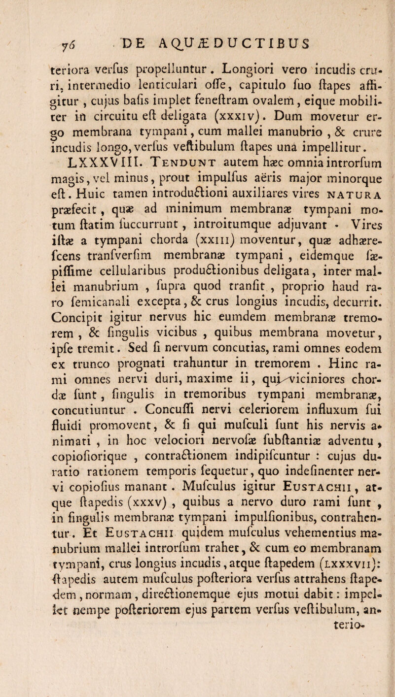 teriora verfus propelluntur. Longiori vero incudis cru¬ ri, intermedio lenticulari ofle, capitulo fuo ftapes affi¬ gitur , cujus bafis implet feneftram ovalem, eique mobili¬ ter in circuitu eft deligata (xxxiv). Dum movetur er¬ go membrana tympani, cum mallei manubrio , & crure incudis longo,verfus veftibulum ftapes una impellitur. LXXXVIII. Tendunt autem haec omniaintrorfum magis,vel minus, prout impulfus aeris major minorque eft. Huic tamen introduflioni auxiliares vires natura praefecit, quae ad minimum membranae tympani mo¬ tum ftatim fuccurrunt, introitumque adjuvant - Vires iftje a tympani chorda (xxm) moventur, quae adhaere- fcens tranfverfim membranae tympani , eidemque fae- piffime cellularibus produftionibus deligata, inter mal¬ lei manubrium , fupra quod tranfit , proprio haud ra¬ ro femicanali excepta, & crus longius incudis, decurrit. Concipit igitur nervus hic eumdem membrans tremo¬ rem , & fingulis vicibus , quibus membrana movetur, ipfe tremit. Sed fi nervum concutias, rami omnes eodem ex trunco prognati trahuntur in tremorem . Hinc ra¬ mi omnes nervi duri, maxime ii, quj^viciniores chor¬ dae funt, fingulis in tremoribus tympani membranae, concutiuntur . Concuffi nervi celeriorem influxum fui fluidi promovent, & fi qui mufculi funt his nervis a* nimati , in hoc velociori nervolae fubftantiae adventu , copiofiorique , contra&ionem indipifcuntur : cujus du- ratio rationem temporis fequetur, quo indefinenter ner¬ vi copiofius manant . Mufculus igitur Eustachii, at¬ que ftapedis (xxxv) , quibus a nervo duro rami funt , in fingulis membranae tympani impulfionibus, contrahen¬ tur. Et Eustachii quidem mufculus vehementius ma¬ nubrium mallei introrfum trahet, & cum eo membranam tympani, crus longius incudis,atque ftapedem (lxxxvii): ftapedis autem mufculus pofteriora verfus attrahens ftape¬ dem , normam , dire£Honemque ejus motui dabit: impel» kt nempe pofteriorem ejus partem verfus veftibulum, an- terio-