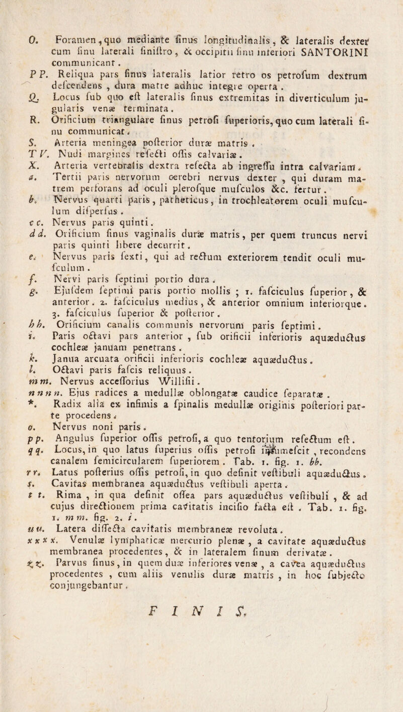 0. Foramen,quo mediante finus longitudinalis, & lateralis dexter cum linu laterali finiftro, & occipitii finu interiori SANTORINX communicant. P P. Reliqua pars finus lateralis latior retro os petrofum dextrum defcendens , dura matre adhuc integre operta . Q. Locus fub quo eft lateralis finus extremitas in diverticulum ju¬ gularis vena terminata. R. Orificium triangulare finus petrofi fuperioris, quo cum laterali fi» nu communicat < S. Arteria meningea pofterior dura® matris , T V. Nudi margines refefti offis calvaria. X. Arteria vertebralis dextra refe&a ab ingreflu intra calvariam. a. Tertii paris nervorum cerebri nervus dexter , qui duram ma¬ trem perforans ad oculi plerofque mufculos &c. fertur. b. Nervus quarti paris , patheticus, in trochleatorem oculi mufcu- lum difperlus . c c. Nervus paris quinti. d d. Orificium finus vaginalis duras matris, per quem truncus nervi paris quinti libere decurrit. e. Nervus paris fexti, qui ad re&um exteriorem tendit oculi mu¬ le u 1 u m . /. Nervi paris leptimi portio dora .- g. Eju fidem leptimi paris portio mollis ; i. fafciculus fuperior , & anterior. 2. fafciculus medius , & anterior omnium infieriorque. 3. fafciculus fiuperior &. pofterior . hh. Orificium canalis communis nervorum paris feptimi. L Paris oftavi pars anterior , fiub orificii inferioris aquaedu&us cochleae januam penetrans . h. Janua arcuata orificii inferioris cochleae aquaedu&us . I. Oflavi paris faficis reliquus . mm. Nervus accefforius Willifii. nnnn. Ejus radices a medullae oblongatae caudice feparatae . *. Radix alia ex infimis a fpinalis medullae originis pofteriori par¬ te procedens .• 0. Nervus noni paris . pp. Angulus fuperior offis petrofi, a quo tentorium refe&um eft. qq. Locus, in quo latus fuperius offis petrofi npimefcit , recondens canalem femicircularem fuperiorem . Tab. 1. fig. 1. bb. rr9 Larus pofterius offis petrofi, in quo definit veftibuli aquaedu&us. s, Cavitas membranea aquaedu£his veftibuli aperta. t t. Rima , in qua definit offea pars aquaeduftus vefiibuli , & ad cujus dire&ionem prima cavitatis incifio fa£ia eft . Tab. 1. fig. 1. m m. fig. 2. i. uu. Latera difTe&a cavitatis membraneae revoluta. xx* x. Venulae lymphaticae mercurio plenae, a cavitate aquaedu&us membranea procedentes, & in lateralem finum derivatae. Parvus finus, in quem duae inferiores venae , a cavea aquaedudhis procedentes , cum aliis venulis durae matris , in hoc fubjeClo conjungebantur,