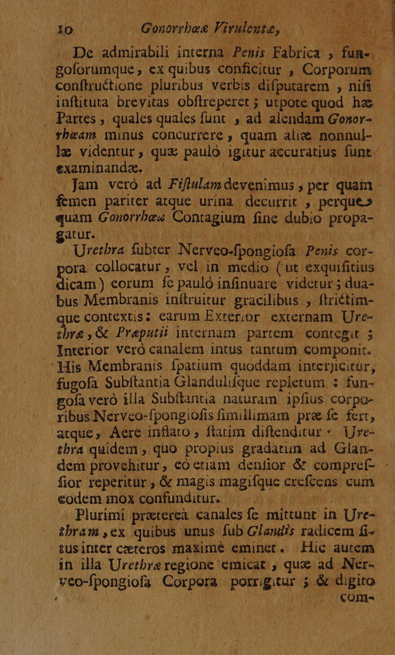 l0 QGenorrbee Viruleute, | | pe admirabili interna Penis Fabrica » fun ic conflructione pluribus verbis difputarem , nifü — inflituta brevitas obftreperet; utpote quod has — . Partes ; quales quales funt , ad alendam Gosnor- rbeam minus concurrere , quam ali nonnul- examinanda p opio AM lu Cans e .. jam vero ad Fiflslamdevenimus , per quam femen pariter atque urina decurrit , perque» quam Gonorrbes Contagium fine dubio propa- g4tur. VOUS Soupe eb INI UG ITA UR AUS Hebe adt E . Uretbra fubter Nerveo-fpongiofa Penis cor- | pora collocatur, vel in medio (ut exquifitius dicam ) eorum íe pauló infinuare. videtur 5 dua- - bus Membranis inítruitur. gracilibus ; ftrictim- ue contextis: earum Exterior externam Ure- tbre ,&amp; Preputii internam. partem. contegit. 5. Interior veró canalem intus tantum componit. His Membranis fpatium quoddam interjicitur, fugofa Subftantia Glanduliíque repletum : fun- | gofa vero illa Subftantia naturam | ipfius corpo- ribus Nervco-fpongiofis fimillimam pra íe fert, atque, Aere inflato ; ftatim diftenditur * Ure- tbra quidem , quo propius gradatun ad Glan- dem provehitur, eo eriam denfior &amp; compref- : fior reperitur, &amp; magis magifque crefcens cum — eodem nax pentumditur. io eue, BON OR Pee Plurimi praterea canales fe. mittunt in Ure- tbram ,ex quibus unus fub Glamdis radicem £i« tusinter ceteros maxime eminet. Hic autem | in illa Uretbre regione emicat , quie ad. .Ner- veo-fpongiofa Corpora porrigitur ; &amp; digito