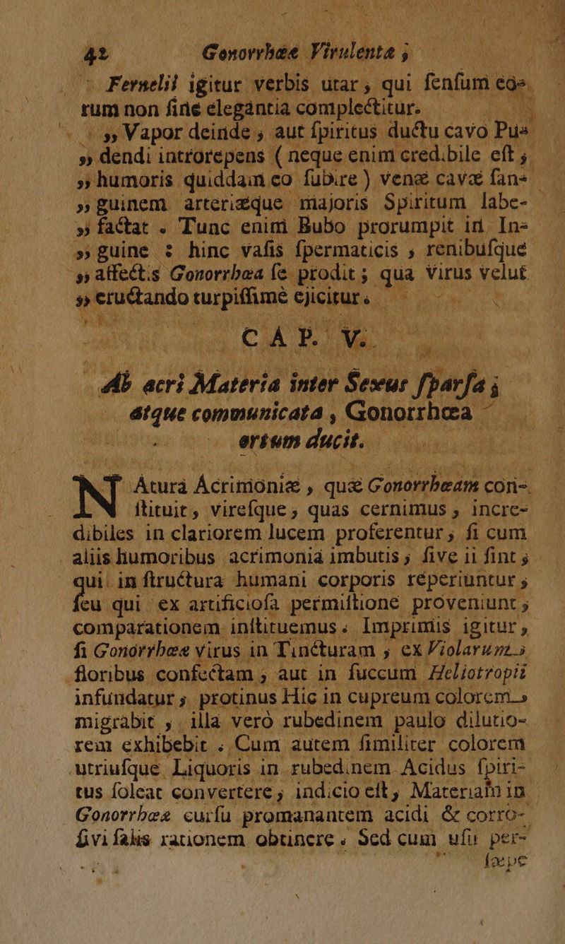 Ld Ww PORA y - x1 s QU poem | Findente » - Fernelil igitur. verbis utar , qui fenfum. [2 rum non fine elegantia complectitur. MN y Vapor deinde ; aut fpiritus ductu cavo Pus sii iind; introrepens ( neque enim cred.bile. eft ; $ ;» humoris qduiddain co fubie) vene cav fans — » guinem arteriZque miajoris Spiritum labe- » factat . Tunc enim Bubo prorumpit iri In-- » guine : hinc vafis fpermaticis ; renibufque ^s atfectis 'Gonorrbea fe prodit; qua Virus velut PI &amp;sruétando rurpiitime siicigute. ic B DOE. Ran X | £i Á BON Mess OY Mo P acri | Mattria inter Sexur fperfa i i tque communicata , Gonorrhea ertum ducit. | Aid Acrimionie , qua Gonorrbedn cori-. ftituit, virefque, quas cernimus , incre- dibiles in clariorem lucem proferentur, fi cum . aliis humoribus . acrimonia imbutis 5. five fint; | ui. in ftruétura humani corporis réperiuntur , as qui ex artificiofa pecmittione proveniunt comparationem. initiruemus « Imprimis igitur fi Gonorrbee virus in Tincturam , ex Violaruzz 5 floribus confectam ; aut in fuccum Zeliotzopii infundatur ;. pro otinus Hic in cupreum colorem.» migrabit ,. illa veró rubedinem paulo dilutio- rem exhibebit. ;, Cum autem fimiliter colorem utriufque. Liquoris in rubedinem Acidus fpiri- tus foleat convertere, indicio elt, Material in Gonorrbea curfu promanantem acidi &amp; corro- óvi falis rationem obtinere « Sed cuum ufu. per- T REDC
