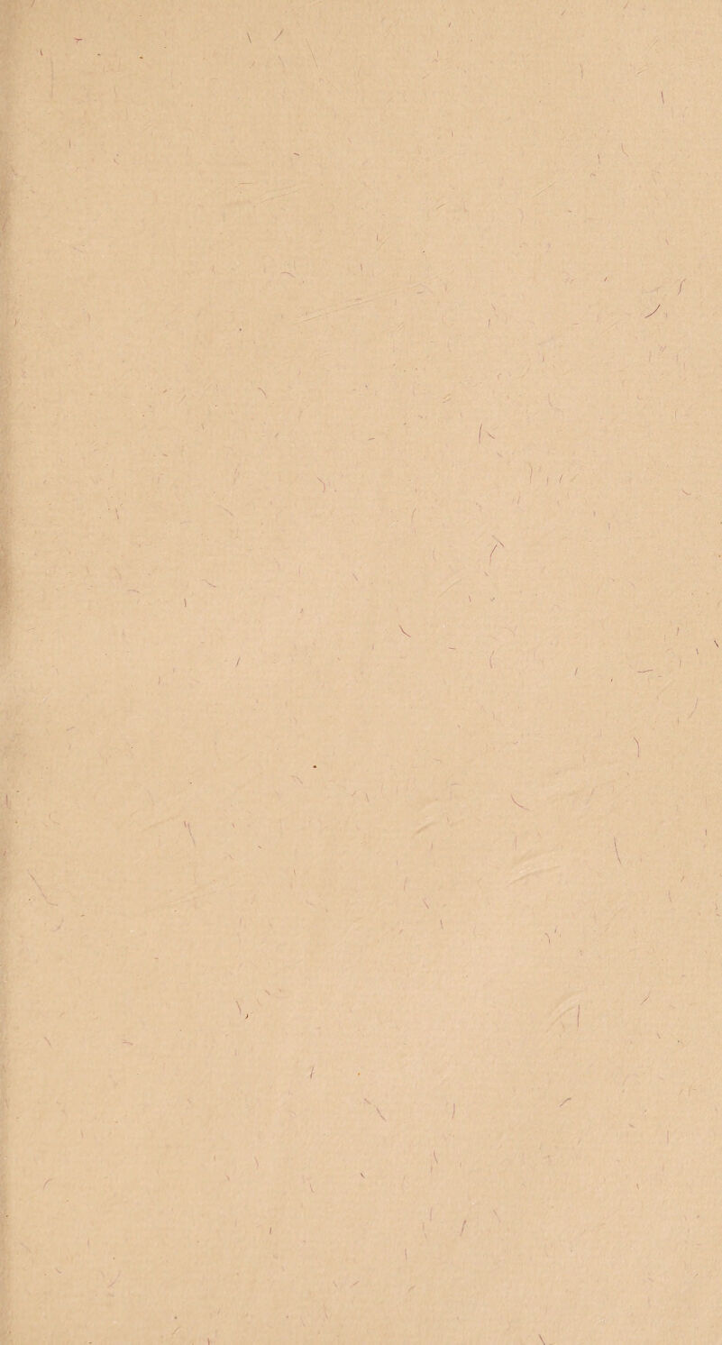 / l / \ I l \ ) I \ t \ \ i i / \ t < n ( v / ? V \ / 1 J \ \ t \ \ r ' \ i / \ \ V I i \ / i ( / \