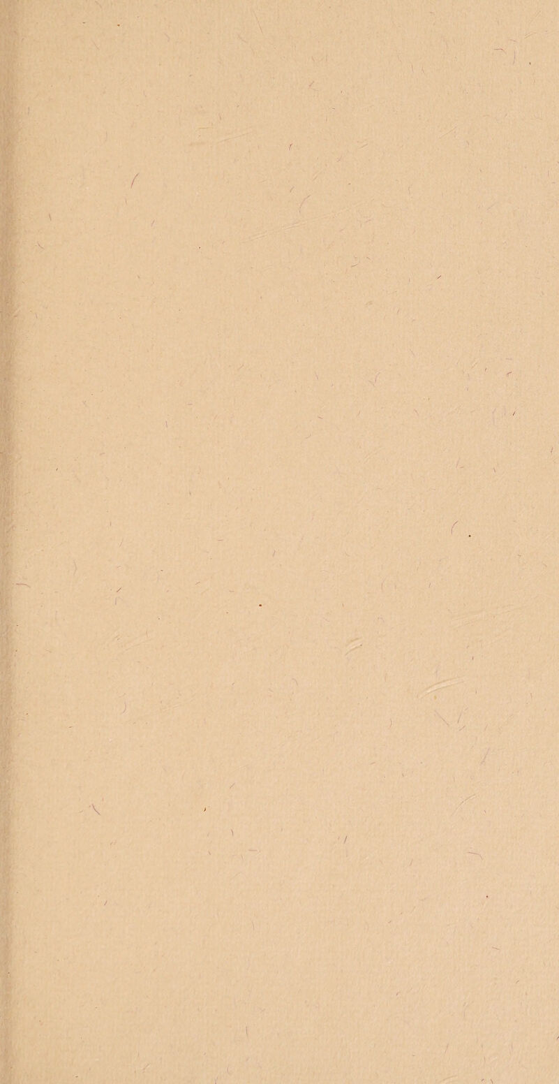 - r ' • ) A' \ v f ' VJ v \* / r ■ / > \ -r / \ / . ( - f / *\