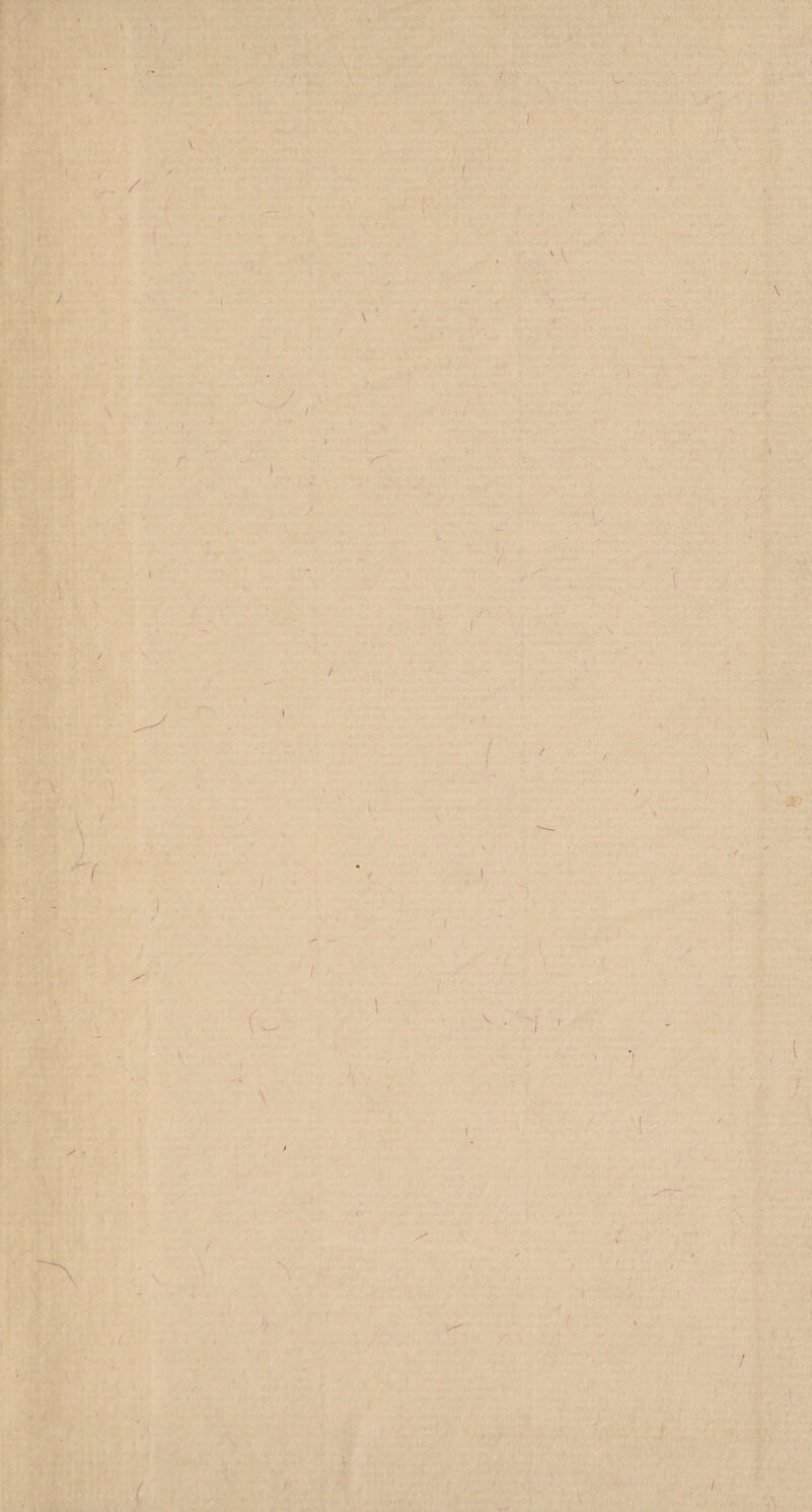 / I / / \ [ \ l l f c t l l I' r I