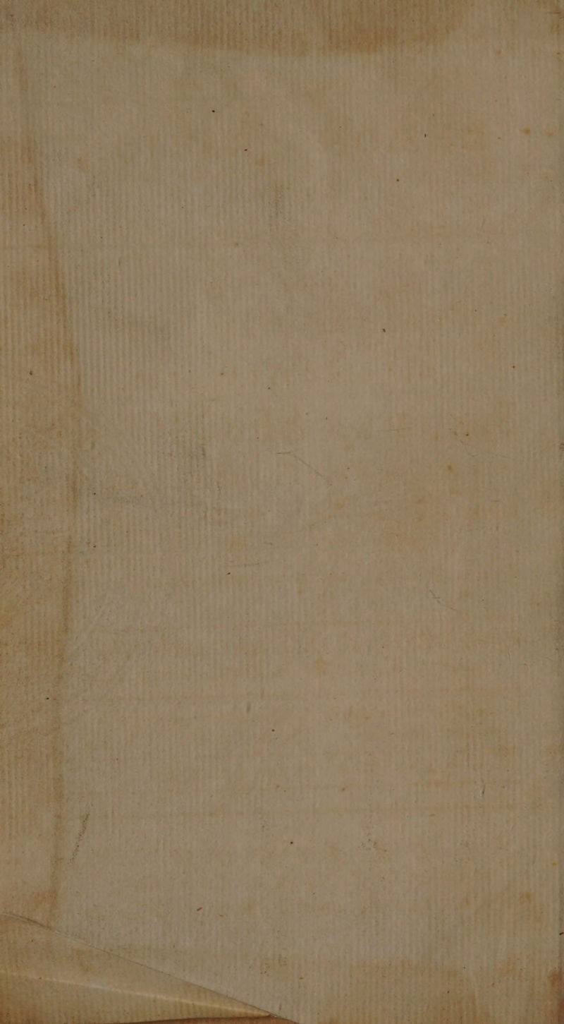 i ‘ By - ‘! oe er “eae a eee Pete ‘ “mw - < * 4 ¢ se . by a sas oc ~~ aye a ade ad nena netihs, ee . eo. ees CO tt aN | me _ > rw Beenie or ee a eer ba fee foe eer ad Yap ee. ee a ee ae > ee a * <* hee wre / -  i e- — eh,