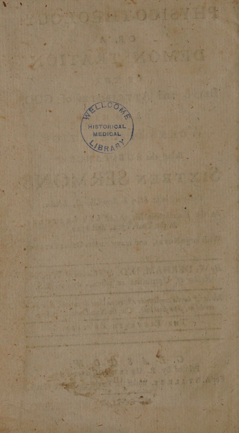 a ; Be tae LAWS ; * Lae ¥ f ‘ tai dieney pee 4 2 y n ah ah A iba jaa Wi ae be were’ a Sas eet '