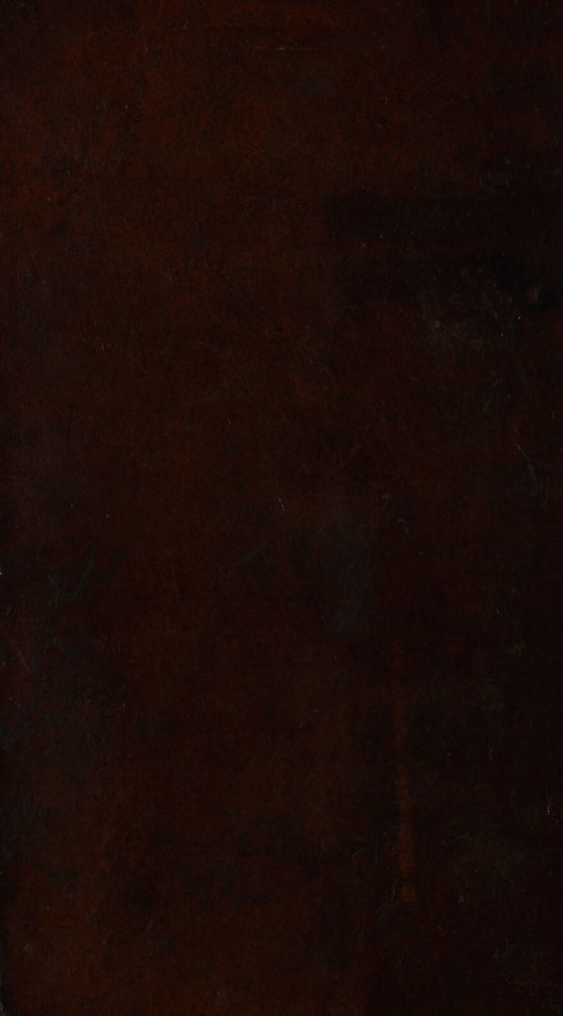 oe , ” -¢ hrs “ae ov =a i” es a a a