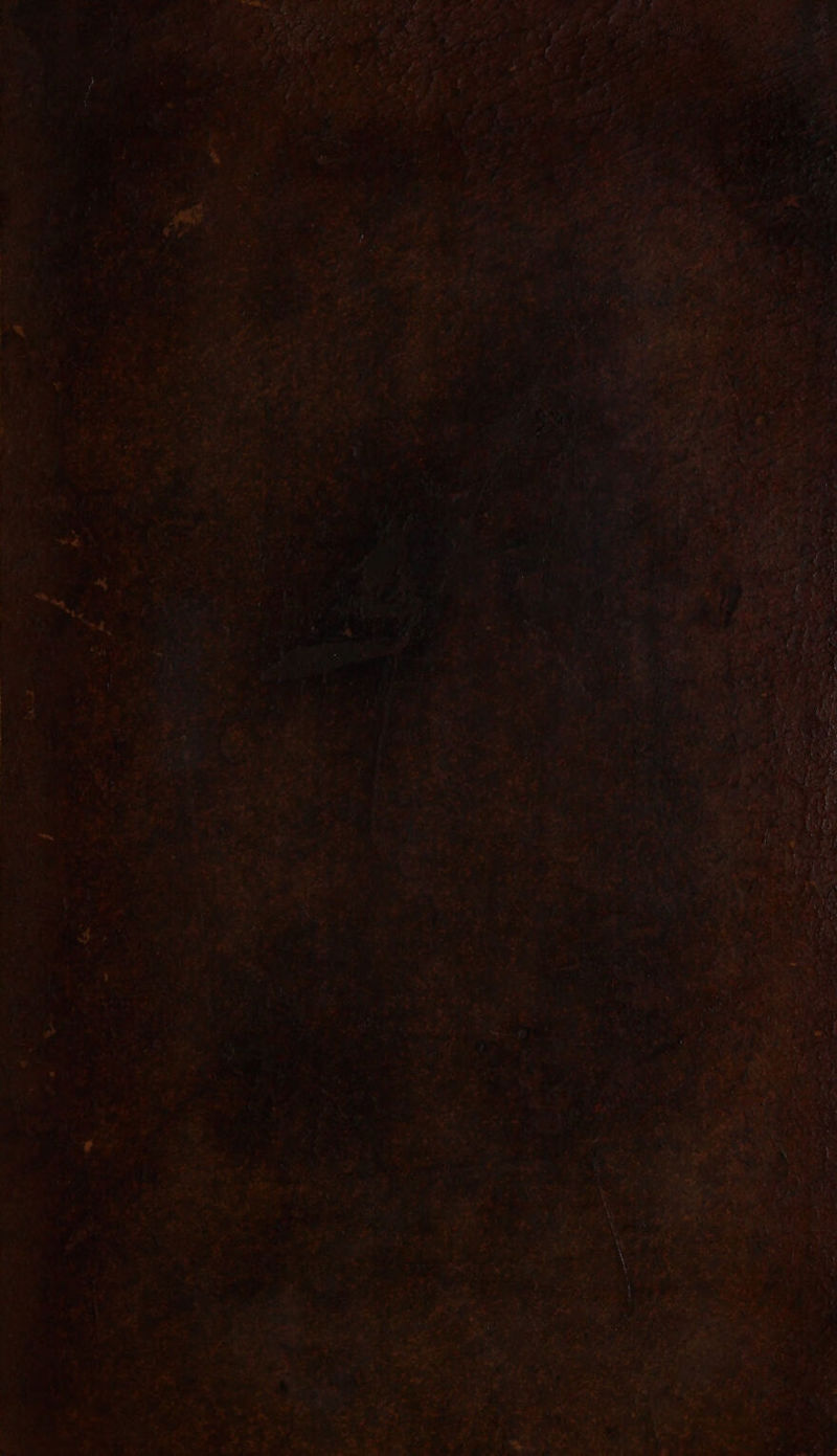 No text description is available for this image