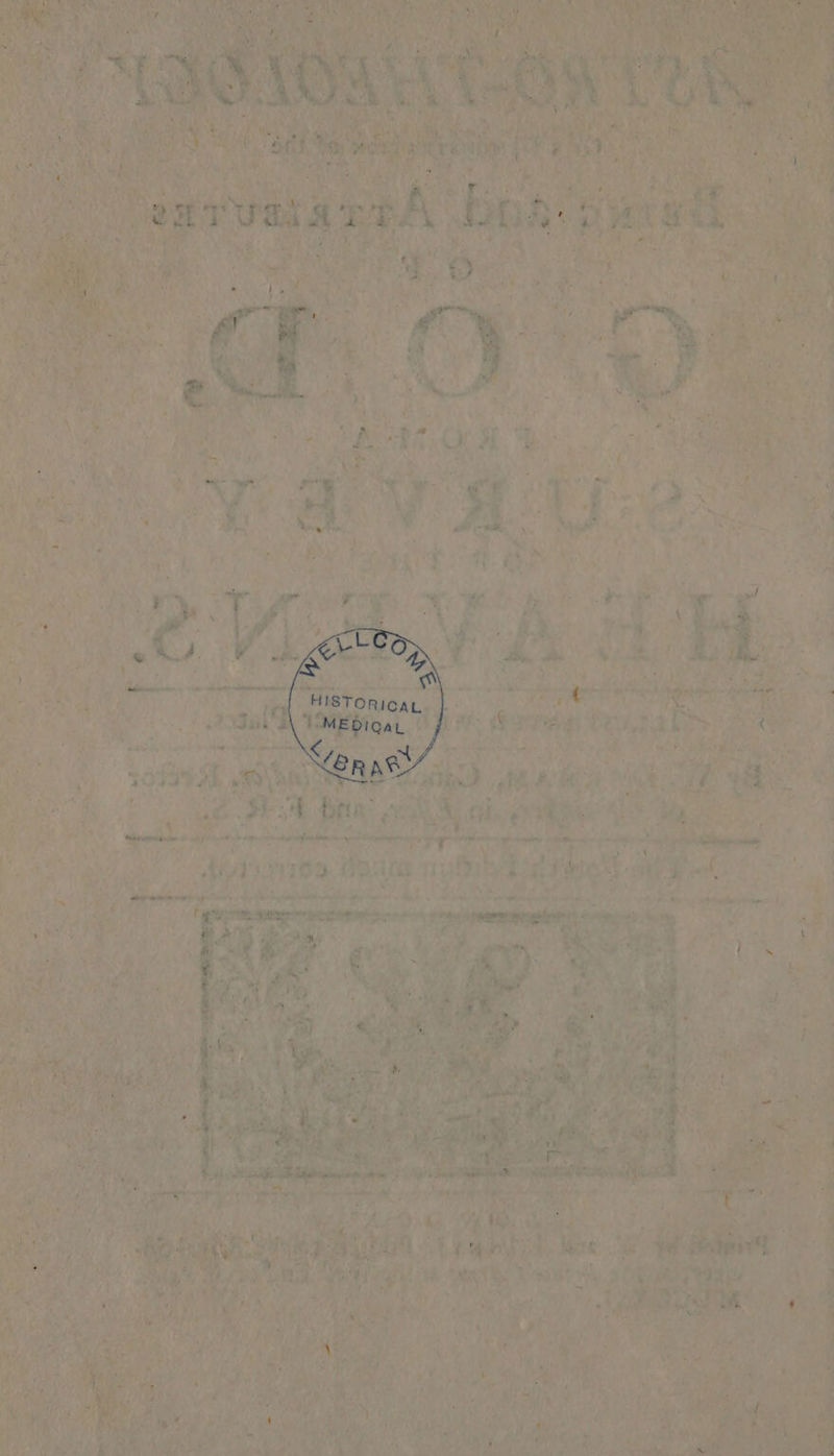 a = - ‘ 7 ee eee Sey ten a” ies > +e Ae MS OR tie ee) » t ey aw i <a ” B Pi ‘ of ¢ tin OS MRS er 3
