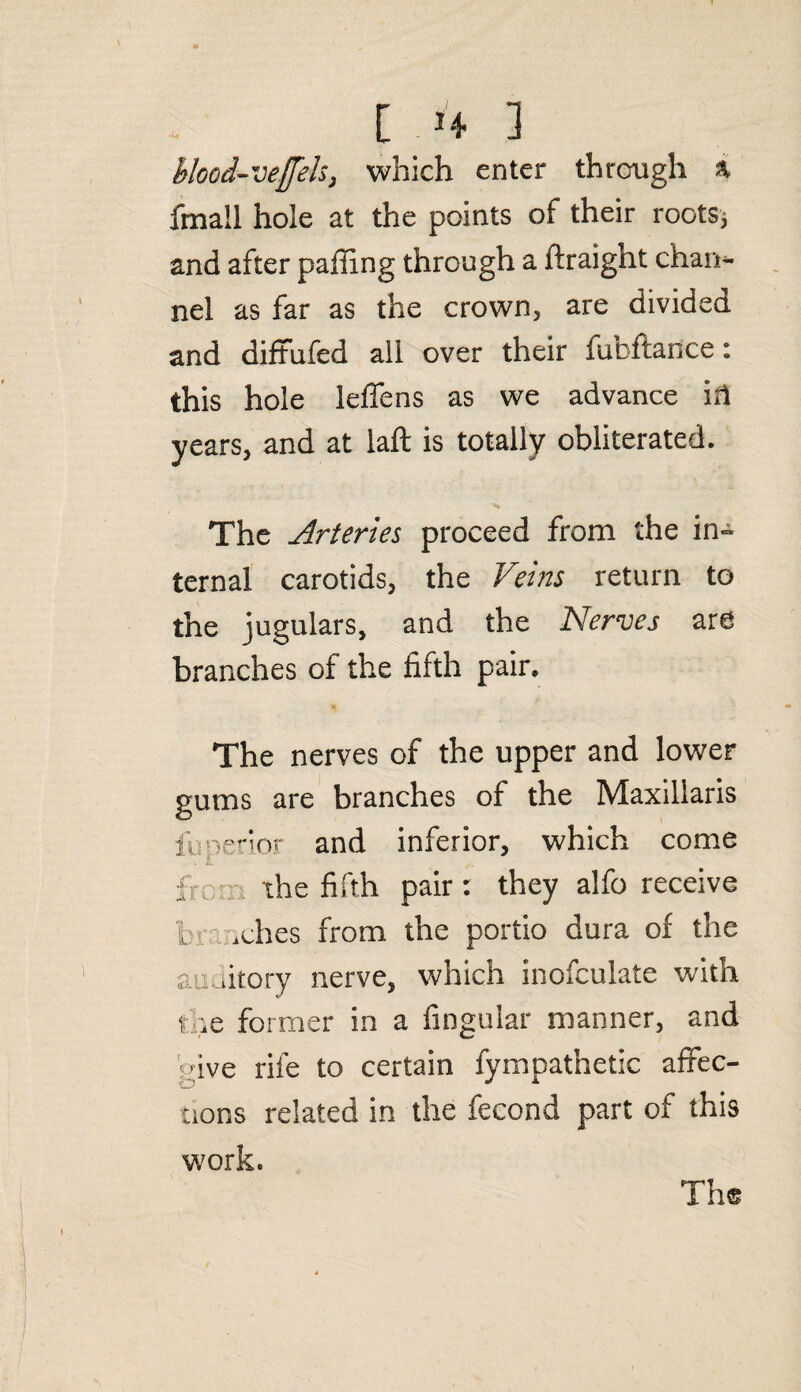 blood-veffeh} which enter through % fmall hole at the points of their roots* and after palling through a ftraight chan¬ nel as far as the crown, are divided and diffufed all over their fufcftance: this hole leffens as we advance ill years, and at laft is totally obliterated. The Arteries proceed from the in- ternal carotids, the Veins return to the jugulars, and the Nerves are branches of the fifth pair. The nerves of the upper and lower gums are branches of the Maxiliaris iiroerior and inferior, which come from the fifth pair : they alfo receive i idles from the portio dura of the au ditory nerve, which inofculate with the former in a Angular manner, and give rife to certain fympathetic affec¬ tions related in the fecond part of this work. Th®
