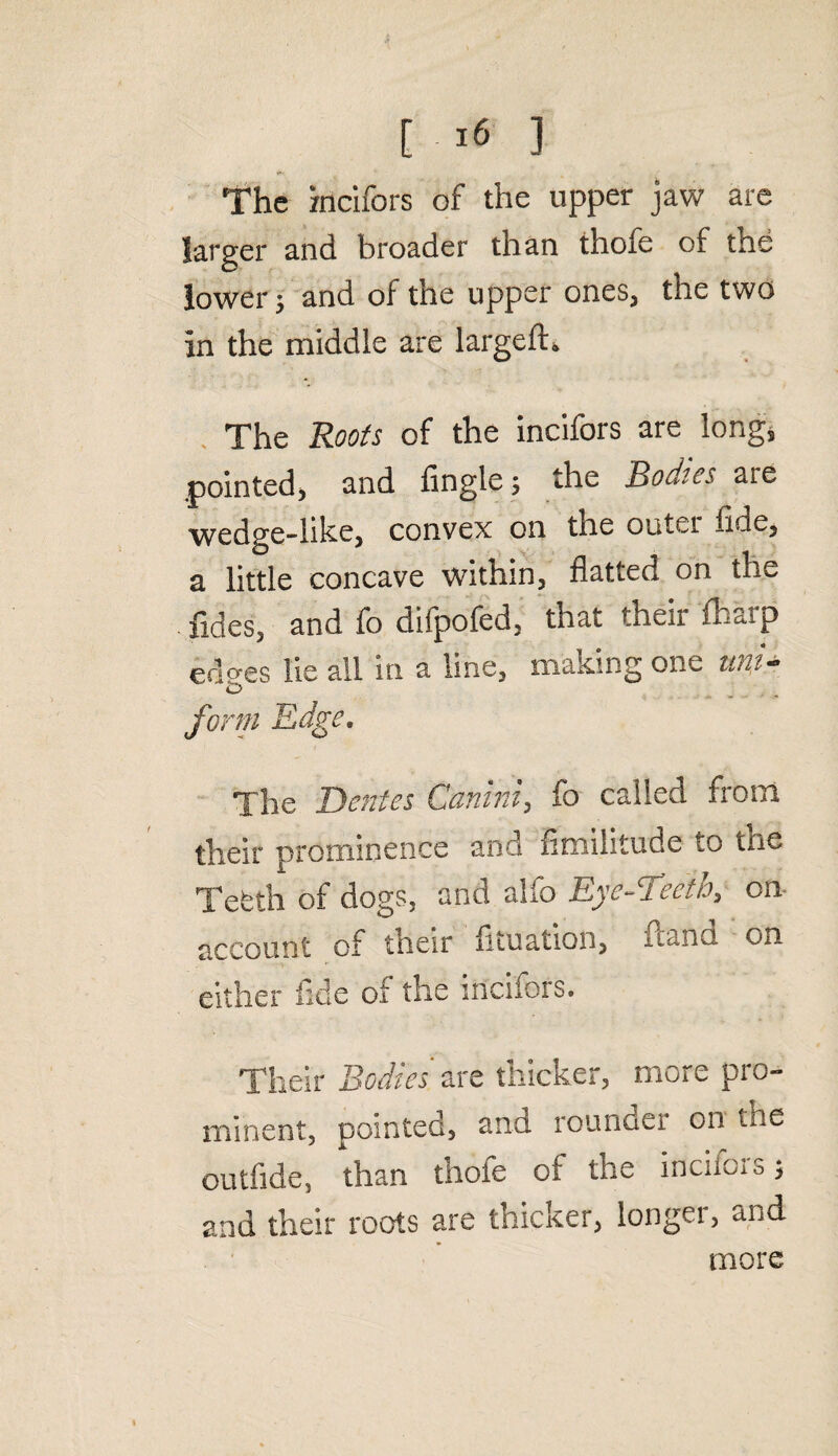 [ -16 3 The rncifors of the upper jaw are larger and broader than thofe of the lower s and of the upper ones, the two in the middle are largefh The Roots of the incifors are long, .pointed, and Angle; the Bodies are wedge-like, convex on the outer fide, a little concave within, flatted on the fides, and fo difpofed, that their fharp edges lie all in a line, making one uni¬ form Edge. The Dentes Conini, fo called from their prominence and iimilitude to the Tefeth of dogs, and alfo Eye-Teeth, on account of their (ituation, rcand on either tide of the incnors. Their Bodies are thicker, more pro¬ minent, pointed, and rounder on the outfide, than thofe of the inciioisj and their roots are thicker, longer, and more