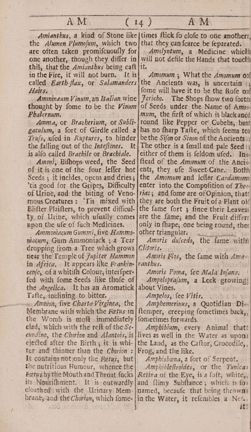 Ainianthus, a kiad of Stone like |times ftick fo clofe to otie anotherr, the Alumen Plumofum, which two] that they can {carce be feparated. are often taken promifcuoufly for| ..Amolyntum, a Medicine whicth one another, though they differ in| will not defile the Hands that toucth this, that the Amianthus being caft}it. | in the Fire, it will not burn. It 1s} Amomums, What the Amomum of called Earth-flax, or Salamanders\the Ancients was, is uticertain :; Hairs. cb ae fome will have it to be the Rofe opf Amminaum Vinum, an Italian wine | Jericho. The Shops fhow two fortts thought by fome to be the Vinum|of Seeds under the Name of Amoo- Phalernum. . mum, the firft of which 1s blackandd _ Amma, or Bratherium, or Subli- | round like Pepper or’ Cubebs, butt gaculum, a fort of Girdle called ajhas no fharp Tafte, which feems tco Trufs, ufed in Ruptures, to hinder} bethe Sifon or Sinon of the Ancients |: the falling out of the Intefiines. It The other is a {mall and pale Seed :; is alfo called Brachile or Brachiale. {either of them is feldom ufed: Ina- _ Aimmi, Bifhops- weed, the Seed ftead of the Amomum of the Ancii- of itis one of the four leffer hotjents, they ufe Sweet-Cane. Bothh Seeds ; it incides, opens and dries; |the Amomum and Icfler Cardamomn tis good for the Gripes, Difficulty |enter into the Compofition of The-- of Urine, and the biting of Veno-|riac; and fome are of Opinion, thatt mous Creatures: “Tis. mixed with | they are both the Fruit of a Plant obf Elifter Plaifters, to prevent difficul-|the fame fort 3 fince their Leavess ty. of Urine, which ufually comes are the fame; and the Fruit differr wpen the ufe of fuch Medicines, : only in fhape, one being round, thee Ammontacum Gummi, live Hammo- . other triangulats. niacum; Gum Ammoniack 3a Tear| Armoris dulcedo, the fame. with) dropping from a Tree which grows |Clitoris. .. 7 near the Temple of Jupiter Hammon} Amoris Flos, the fame with Ama-- in Africa, It appears like Frankin-jranthus. | Soniartte! cenfe, of a whitifh Colour,interfper-| Amoris Poma, fee Mala Infania: | fed with fome Seeds like thofe of| . Ampeloprajum, a Leek growing! the Angelica.’ It has an Aromatick | about Vines. ? qr Tafte, inclining to bitter. Armpelos, fee Vitis, . ws: Amnion, five ChartaVirginea, the} Amphemerinus, a Quotidian -Di-. Membrane with which the Fetus in| ftemper, creeping fometimes back,, the Womb is moft: immediately | fometimes forwards. . clad; which with the reft of the Se-| _ Ampbibium, every Animal thatt cundine, the Chorion and Alantots, is ! lives as well in the Water as uponi ejected after the Birth; it 1s whi-|the Laad, as the Caftor, Crocodile, , ter and! thinner than the Chorion : Frog, and the like. It contains notiouly the Fetus; but} Amphisbena, a fort of Serpent. the nutritious Humour, whence the €| Amphitleftroides, or the Tunicat Foetus. by the Mouth and Throat facks| Retina of the Eye, is a foft, white,, its Nourifhment. It’ is- outwardly and flimy Subftance ; which 1s fo» Cloathed)) with the Urinary’ Mem-|mamed, becaufe that being thrown) brané;‘and the Chorton, which fome- in the Water, it refembles a Net.. it!