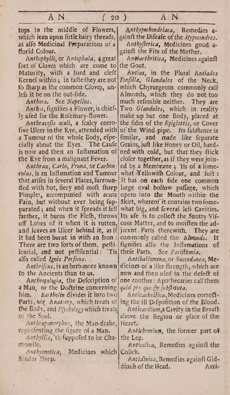 fens Antennae, tops in the middle of Flowers, which lean upon little hairy threads, as alfo Medicinal Preparations of a florid Colour. : _ Anthophylli, or Antophala, a great fort of Cloves which are come to Maturity, with a hard and cleft Kernel within; in taftethey are not fo fharp as the common Cloves, un- lefs it be on the out-fide. Anthora. See Napellus. ‘Anthos, fignifies a Flower, is chief- Jy ufed for the Rofemary-flower. Anthracofis oculi, a {calcy corro- five Ulcer inthe Eye, attended with a Tumour of the whole Body, efpe- cially about the Eyes. The Caufe is now and then an Jnflamation of the Eye from a malignant Fever. Anthrax, Carbo, Pruna, or Carbun- culus,is an Inflamation and Tumour that arifes in feveral Places, furroun- ded with hot, fiery and moft fharp Pimples, accompanied with acute AN Anthypechondriaca, Remedies a- gainft the Difeafe of the Aypocondres. Anthyflerica, Medicines good a- gainft the Fits of the Mother. Anbiarthritica, Medicines againft the Gout. Antias, in the Plural Antiades Tonfille, Glandules of the Neck, which Chyrurgeons commonly call Almonds, which they do not too much refemble neither. They are Two Glandules, which in reality make up but one Body, placed at the fides of the Epiglottis, or Cover of the Wind-pipe. Its fubftance is fimilar, and made like feparate Grains, juft like Honey or Oil, hard- ned with cold, but that they flick ed by a Membrane ; ’tis of a fome- what Yellowifh Colour, and foft ; It has.on each fide one common large oval hollow paffage, which Opens into the Mouth within the Pain, but without ever being fup-| Skirt, whereof it contains two fome- purated ; and when it fpreads it felf| what big, and feveral lefs Cavities. farther, it burns the Flefh, throws) Its ufe 1s to collect the Snotty Vif- off Lobes of it when it is rotten,| cous Matter, and to moiften the ad- it had been burot in with an fron: There are two forts of them, pefti- lential, and not peftilential: °Tis alfo called Ignis Perficus. | Antirifcus, is an herb more known to the Ancients than to us. Anthropologia, the Defcription of a Man, or the Doétrine concerning him. Bartholin divides it into two Parts, viz, Anatomy, which treats of the Body, and P{ichology which treats of the Soul. Anthropomorphus, the Man-drake, reprefenting the figure of a Man. Anthyllis, tis fappofed to be Cha- rmomile, Anthypnotica,. Medicines which hinder Sleep. commonly called the Almonds. It fignifies alfo the Inflamations of thefe Parts. See Parifthmia. Antiballomena, or Succedanea, Me- dicines of a like ftrength, which are now and then ufed in the defe&amp;t of one another: Apothecaries call them quid pro quo es fubftituta. Anticacheética, Medicines corrett- ing the ill Difpofition of the Blood. Anticardium,a Cavity in the Breaft above the Region or place of the Heart. Antichemium, the former part of the Leg. Anticolica, Remedies againft the Colick. Antidinica, Remedies againfi Gid- dine fs of the Head. Anti