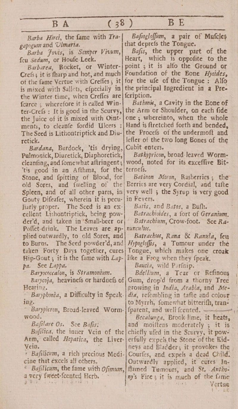 RTE BA ( 38 ) BE eles ATCA 265 et on sacnsien S emmaaasemed Aiie Fa ack, aliens Barba Hirci, the fame with Tra- | Bafiogloffum, a pair of Mufcles gapogum and Ulmaria. | that deprefs the Tongue. Barba Fovis, is Semper Vivum,| Bafis, the upper part of the feu Sedum, or Houfe-Leck. Heart, which is oppofite to the Barbarea, Rocket, or Winter-| point ; it 15 alfo the Ground or Crefs; it is fharp and hot, and much] Foundation of the Bone Hyoides, of the fame Vertue with Creffes, it}for the ufe of the Tongue: Alfo is mixed with Sallets, efpecially in| the principal Ingredient in a Pre. the Winter time, when Creffes are| fcription. aoe {carce ; wherefore it is called Win-| Bathmw, a Cavity in the Eone of ter-Crefs : It is good in the Scurvy,|the Arm or Shoulder, on each fide the Juice of it is mixed with Oint-| one ; whereinto, when the whole ments, to cleanfe fordid Ulcers :} Hand is ftretched forth and bended, The Seed is Lithontriptick and Diu-|the Procefs of the undermoft and retick. lefler of the two long Bones of the Bardana, Burdock, “tis drying,|Cubit enters. Pulmonick, Diuretick, Disphoretick,} | Bathypricon, broad-leaved Worm- cleanfing, and fomewhat aftringent;| wood, noted for its exceffive Bit- ’tis good in an Afthma, for the} tersefs. Stone, and {pitting of Blood, for; Batinon Moron, Rasberries; the old Sores, and {welling of the| Berries are very Cordial, and tafte Spleen, and of all other parts, in| very wel] 5 the Syrup is very good Gouty Difeafes, wherein it is pecu-|1n Fevers. liarly proper. The Seed is an ex-| Batts, and Batos, a Bufh. cellent Lithontriptick, being pow-} Batrachiotdes, a fort of Geranium. der’d, and taken in Small-beer or|’ Batrachium, Crow-foot. See Ra- Poffet-drink, The Leaves are ap-|nunculus. — | plied outwardly, to old Sores, and| Batrachus, Rana &amp; Ranula, feu to Buros. The Seed powder’d, and! Hypogloffis, a Tomour under thé taken Forty Days together, cures} Tongue, which makes one croak Hip-Gout ; itis the fame with Lap-j| like a Frog when they fpeak. pa. See Lappa. Baucia, wild Parfnip. * Baryococcalon, is Stramonium. Bdellium, a Tear or Refinous Barycoja, heavinefs or hardoefs of} Gum, drop'd from a thorny Tree Hearing. . . growing in India, Arabia, and Me- ~ Baryphonia, a Difficulty in Speak-| dia, refembling in tafte and colour ing. to Myrrh, fomewhat bitterifh, tran- “ Barypicron, Broad-leaved Worm-|fparent, and well {cented. wee ; | wood. Becabunga, Brook-lime, it heats, Bufilica, the inuer Vein of the| chiefly ufed in the Scurvy, it pow- Arm, called Hepatica, the Liver-jerfully expels the Stone of the Kid- Vein. ig Boh heys and Bladder; it provokes the | * Bafilicum, a rich precious Medi-| Courfes, and expels a dead Child. cine that éxcels al! others. Outwardly applied, it cures In- * Bajilicum, the fame with Ofimum,}| flamed Tumours, and St, -Antho- avery {weet-{cented Herb. &gt; sf ny’s Fire; it is much of the fame Vf