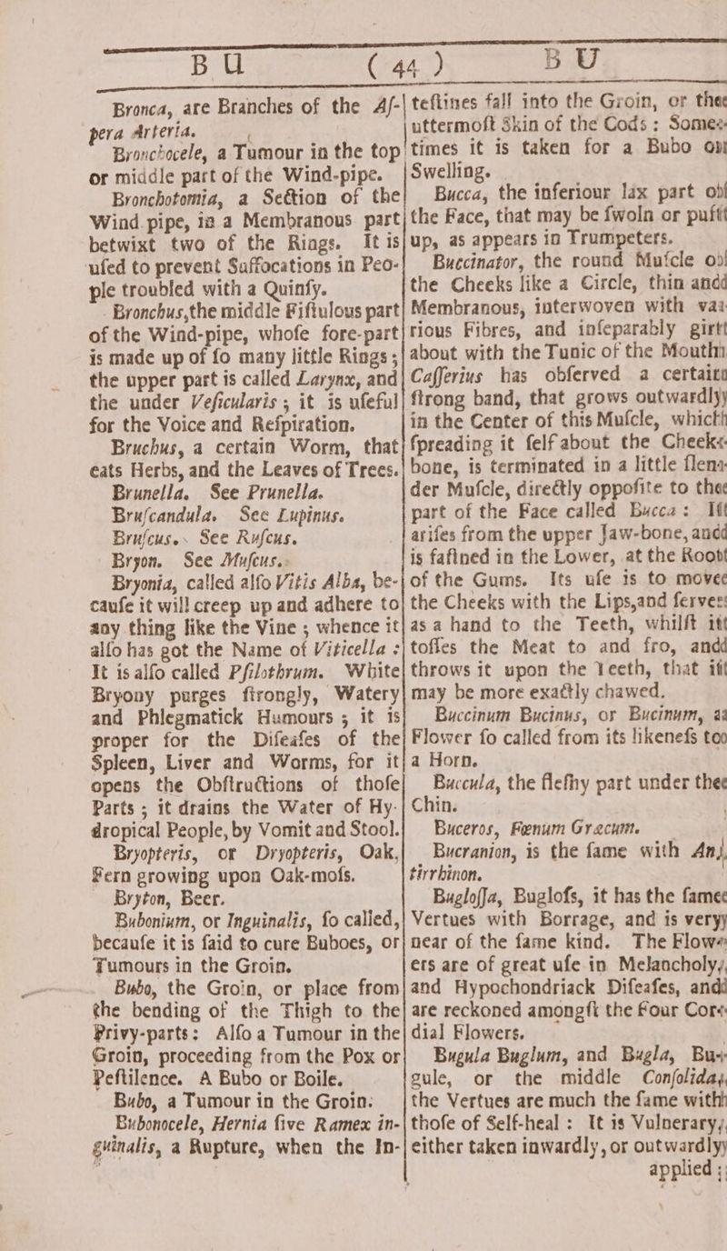 pera Arteria. or middle part of the Wind-pipe. Bronchotomia, a Section of the Wind pipe, 12. a Membranous part betwixt two of the Riags. It is ufed to prevent Saffacations in Peo- ple troubled with a Quinfy. _ Bronchus,the middle Fiftulous part of the Wind-pipe, whofe fore-part is made up of fo many little Rings ; the upper part is called Larynx, and the under Veficularis ; it is ufeful for the Voice and Refpiration. Bruchus, a certain Worm, that eats Herbs, and the Leaves of Trees. Brunella. See Prunella. Brufcandula. Sec Lupinus. Brufcus.. See Rufcus. Bryon. See Mufcus.> Bryonia, called alfo Vitis Alba, be- caufe it will creep up and adhere to any thing like the Vine ; whence it alfo has got the Name of Viticella : It is alfo called Pfilothrum. White Bryony purges firongly, Watery and Phlegmatick Humours ; it is proper for the Difeafes of the Spleen, Liver and Worms, for it opens the Obftructions of thofe Parts ; it drains the Water of Hy. dropical People, by Vomit and Stool. Bryopteris, or Dryopteris, Oak, Fern growing upon Oak-mofs. Bryton, Beer. Buboninm, or Inguinalis, fo calied, becaufe it is faid to cure Buboes, or Tumours in the Groin. Bubo, the Groin, or place from the bending of the Thigh to the Privy-parts; Alfoa Tumour in the Groin, proceeding from the Pox or Peftilence. A Bubo or Boile. Bubo, a Tumour in the Groin. Bubonocele, Hernia five Ramex in- guinalis, a Rupture, when the In- teflines fall into the Groin, or thee uttermoft Skin of the Cods : Somez. times it is taken for a Bubo opt Swelling. Bucca, the inferiour lax part ob the Face, that may be fwoln or puftt up, as appears in Trumpeters. Buccinator, the round Mufcle oi! the Cheeks like a Circle, thin andd Membranous, iuterwoven with vai rious Fibres, and infeparably girtt about with the Tunic of the Mouth Cafferius has obferved a certaite ftrong band, that grows outwardly) in the Center of this Mufcle, whictt fpreading it felf about the Cheek« bone, is terminated in a little flema- der Mufcle, directly oppofite to thee part of the Face called Bucca: If arifes from the upper Jaw-bone, andd is fafined in the Lower, at the Roobt of the Gums. Its ufe 1s to movec the Cheeks with the Lips,and ferves: asa hand to the Teeth, whilft itt toffes the Meat to and fro, andd throws it upon the Teeth, that iff may be more exa¢tly chawed. Buccinum Bucinus, or Bucinum, a Flower fo called from its likenefs too a Horn. Buccula, the flefhy part under thee Chin. Buceros, Fenum Gracuit. Bucranion, is the fame with An}, tirrhinon. | Buglofja, Buglofs, it has the fame Vertues with Borrage, and is veryy near of the fame kind. The Flow ers are of great ufe in Melancholyy, and Hypochondriack Difeafes, and are reckoned amongfi the Four Core dial Flowers. , Bugula Buglum, and Bugla, Bu: gule, or the middle Conjoliday, the Vertues are much the fame witht thofe of Self-heal : It is Vulneraryy, either taken inwardly, or outwardly) applied ;