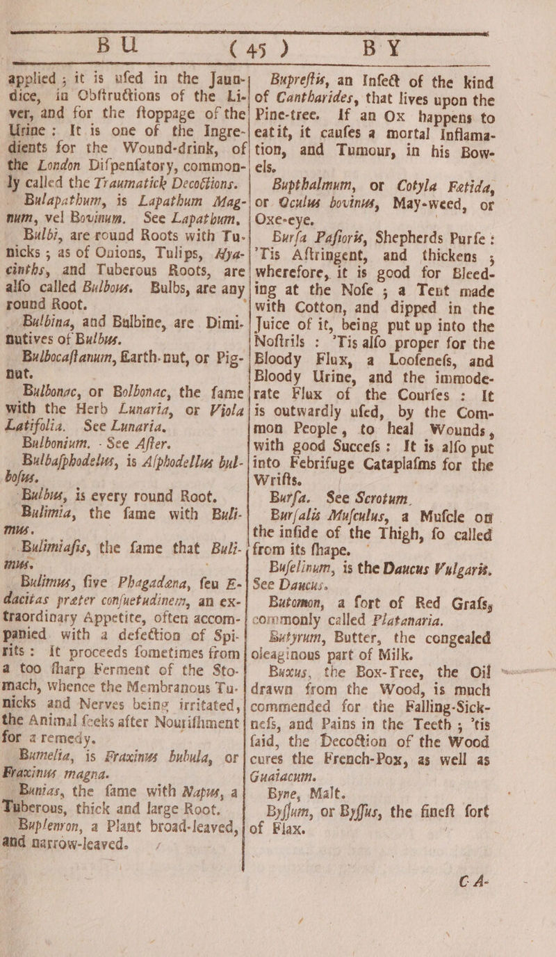 BU 3 applied ; it is ufed in the Jaun- dice, in Obftructions of the Li- ver, and for the ftoppage of the Urine ; It is one of the Ingre- BY Buprefts, an Infect of the kind of Cantharides, that lives upon the Pine-tree. If an Ox happens to eatit, it caufes a mortal Inflama- the London Difpenfatory, common- ly called the Traumatick Decoétions. _ Bulapathum, is Lapathum Mag- num, vel Bovinum. See Lapathum, Bulbi, are round Roots with Tu- nicks ; as of Ouions, Tulips, Aya- cinths, and Tuberous Roots, are alfo called Bulbows. Bulbs, are any round Root. _ Bulbina, and Bulbine, are Dimi. Butives of Bulbys. Bulbocaftanum, Larth- nut, or Pig- nat. Bulbonac, or Bolbonac, the fame with the Herb Lunaria, or Viola Latifolia. See Lunaria. Bulbonium. - See After. Bulbajphodelus, is Alphodellus bul- bofus. “Bulbus, is every round Root. Bulimia, the fame with Buli- mus . -Bulimiafis, the fame that Us. _ Bulimus, five Phagadena, feu E- dacitas preter confuetudinem, an ex- traordinary Appetite, often accom- panied with a defection of Spi- rits: it proceeds fometimes from a too fharp Ferment of the Sto- mach, whence the Membranous Tu- nicks and Nerves being irritated, the Animal {ceks after Nourifhment for a remedy. Bumelia, is Fraxinus bubula, or Fraxinus magna. Bunias, the fame with Wapus, a Tuberous, thick and large Root. Buplenron, a Plant broad-leaved, and narrow-leaved. Buli- els. Bupthalmum, or Cotyla Fatida, or Qculus bovinus, May-weed, or — Burfa Pafioris, Shepherds Purfe : ‘Tis Aftringent, and thickens , wherefore, it is good for Bleed- ing at the Nofe ; a Tent made Juice of it, being put up into the Noftrils : Tis alfo proper for the Bloody Flux, a Loofenefs, and rate Flux of the Courfes : It is outwardly ufed, by the Com- mon People, to heal Wounds, with good Succefs: It is alfo put into Febrifuge Cataplafms for the Wrifts. Burfa. See Scrotum. ; Bur/alis Mufculus, a Mufcle on the infide of the Thigh, fo called from its fhape. © Bujelinum, is the Daucus Vulgaris. See Daucus. | Butomon, a fort of Red Grafs, commonly called Piatanaria. Butyrum, Butter, the congealed oleaginows part of Milk. drawn from the Wood, is much commended for the Falling-Sick- nefs, and Pains in the Teeth ; ’tis faid, the Deco&amp;tion of the Wood cures the French-Pox, as well as Guatacum. Byne, Malt. ' Byflum, or Byffus, the fineft fort of Plax. . C A-