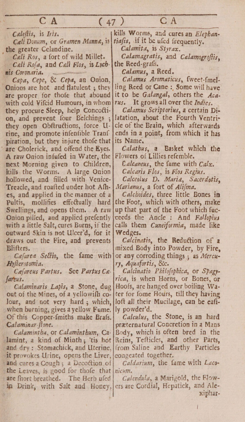 a ~ Caleftis, is Iris. kills Worms, and cures an Elephan- the greater Celandine. Cali Ros, a fort of wild Millet. Cali Rofa, and Cali Flos, is Lych- BIS COPOMAV IA, 5 ecenesrnsni — Capa, Cepe, &amp; Cepa, an Onion, “Onions are hot and flatulent ; they are proper for thofe that abound with cold Vifcid Humours, in whom they procure Sleep, help Concoéti- on, and prevent four Belchings ; they open Obftructions, force U- rine, and promote infenfible Tranf- piration, but they injure thofe that ‘are Cholerick, and offend the Kyes. A raw Onion infufed in Water, the next Morning given to Children, kills. the Worms. A large Onion hollowed, and filled with Venice- Treacle, and roafted under hot Afh- es, and applied in the manner of a Pultis, mollifies effectually hard Swellings, and opens them. . A raw Onion pilled, and applied prefently with a little Salt, cures Burns, if the outward Skin is not Ulcer’d, for it draws out the Fire, and prevents Blifters. ) Cafarea Seétio, the fame with Hiyfierstamia. Cefareus Partus. fareus. : Calaminaris Lapis, a Stone, dug out of the Mines, of a yellowifh co- Jour, and not very hard ; which, when burning, gives a yellow Fume. Of this Copper-fmiths make Brafs. ‘Calaminar-flone. _ Calamintha, or Calaminthum,. Ca- lamint, a kind of Miath; ’tis hot _and dry: Stomachick, and Uterine, it provokes Urine, opens the Liver, ‘and curesa Cough; a Decottion.of othe Leaves, is good for thofe that are fhort breathed. The Herb ufed ‘4p Drink, with Salt aud Honey, See Partus Ca- Calamita, is Styrax. Calamagratis, and Calamogroftis, the Reed-grafs. Calamus, a Reed. Calamus Aromaticus, {weet-{mel- ling Reed or Cane : Some will have it to be Galangal, others the Aca- rus. It growsall over the Indies. Calamus Scriptorius, a certain Di- latation, about the Fourth Ventri- cle of the Brain, which afterwards ends in a point, from which it has its Name. : Calathus, a Basket which the Flowers of Lillies refemble. Calcaneus, the fame with Calx.° Calcaris Flos, is Flos Regius. Calceolus D. Maria, Sacerdotis, Marianus, a fort of Alifma. Calchoides, three little Bones in the Boot, which with others, make up that part of the Foot which fuc- ceeds the Ancle : And Fallopius calls them Cuneiformia, made like Wedges. : Calcinatio, the Reduction of a mixed Body into Powder, by Fire, or any corroding things ; as Mercu- ry, Aquafortis, &amp;c. : Calcinatio Phtlofophica, or Spagy- rica, is when Horns, or Bones, or Hoofs, are hanged over botling Wa- | ter for fome Hours, till they having loft all their Mucilage, can be eafi- ly powder'd. Calculus, the Stone, is an hard przternatural Concretion in a Mans Body, which is often bred in the Reins, Tefticles, and other Parts, from Saline and Earthy Particles congeated together. Caldarium, the fame with Laco- nicum. Calendula, a Marigold, the How- ers are Cordial, Hepatick, and Ale- xiphar- |