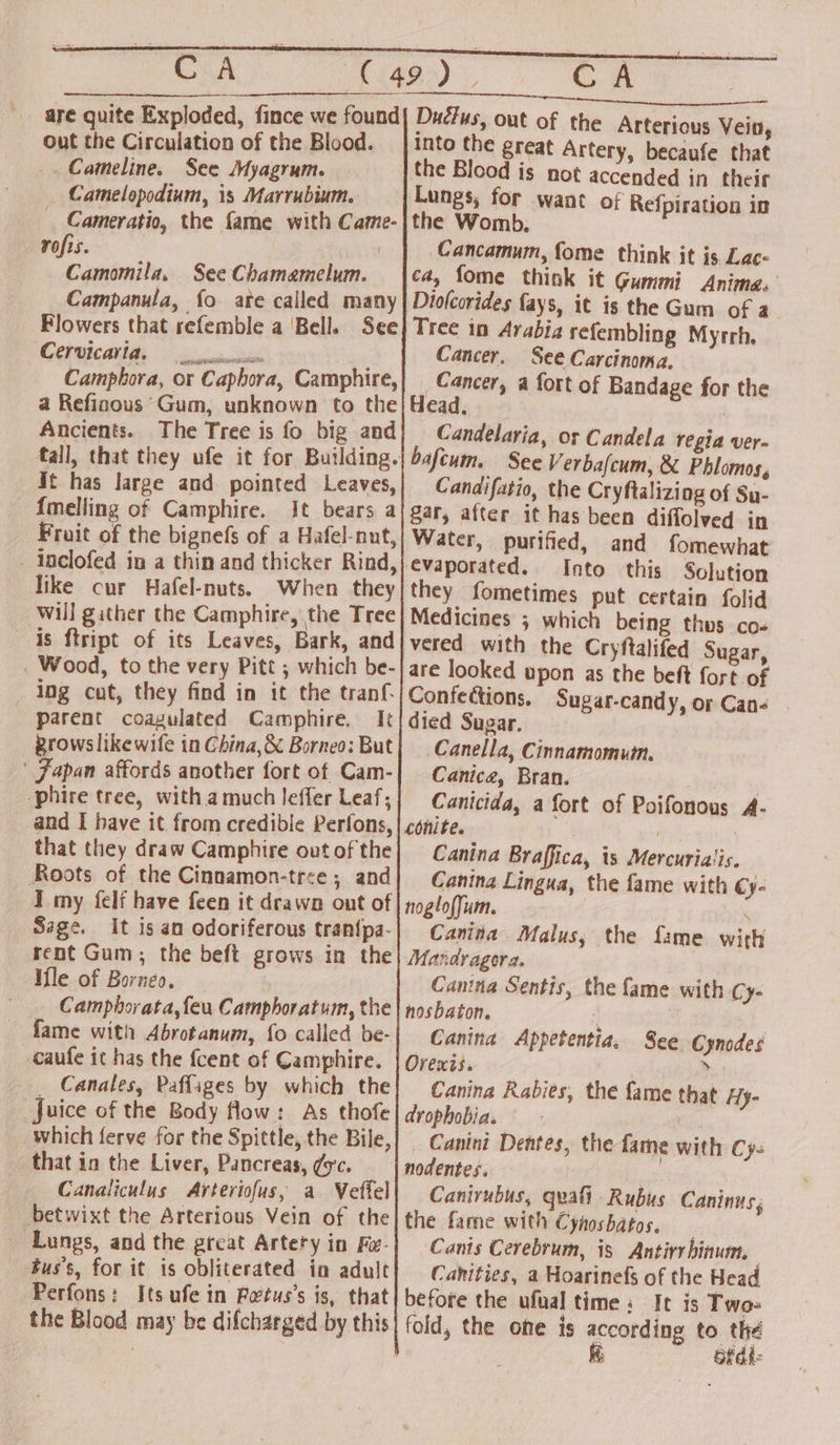 are quite Exploded, fince we found out the Circulation of the Blood. _Cameline. See Myagrum. Camelopodium, is Marrubium. Cameratio, the fame with Came- rofis. Camomila, See Chamemelum. Campanula, fo ate called many Flowers that refemble a ‘Bell. See Cervicatias 2 sn Camphora, or Caphora, Camphire, a Refinous Gum, unknown to the Ancients. The Tree is fo big and It has large and pointed Leaves, {melling of Camphire. It bears a Fruit of the bignefs of a Hafel-nut, —Jaclofed in a thin and thicker Rind, like cur Hafel-nuts. When they will gather the Camphire, the Tree As ftript of its Leaves, Bark, and Wood, to the very Pitt ; which be- ing cut, they find in it the tranf. parent coagulated Camphire. Ik Rrowslikewife in China,&amp; Borneo: But | Japan affords another fort of Cam- -phire tree, witha much leffer Leaf; and I have it from credible Perfons, that they draw Camphire out of the Roots of the Cinnamon-tree ; and I my {elf have feen it drawn ont of Sage. It is an odoriferous tran{pa- rent Gum; the beft grows in the le of Borneo. Camphorata, feu Camphoratum, the fame with Abrotanum, fo called be- caufe it has the {cent of Camphire. _ Canales, Paffages by which the Juice of the Body flow: As thofe which ferve for the Spittle, the Bile, that in the Liver, Pancreas, ¢yc. Canaliculus Arteriofus, a Veftel betwixt the Arterious Vein of the _ Lungs, and the great Artety in Fa- tus’s, for it is obliterated in adult Perfons: Its ufe in Petus’s is, that the Blood may be difcharged by this CA Dudtus, out of the Arterious Vein, into the great Artery, becaufe that the Blood is not accended in their Lungs, for want of Refpiration in the Womb, Cancamum, fome think it is Lac- ca, fome think it Gummi Anima. Diolcorides fays, it is the Gum of a. Tree in Arabia refembling Myrrh. Cancer. See Carcinoma. _Cancer, a fort of Bandage for the Head. | Candelaria, or Candela regia ver- bafcum. See Verbafcum, &amp; Phlomos, Candifatio, the Cryftalizing of Su- gar, after it has been diffolved in Water, purified, and fomewhat evaporated. Into this Solution they fometimes put certain folid Medicines ; which being thus co- vered with the Cryftalifed Sugar, are looked upon as the beft fort of Confections, Sugar-candy, or Can- died Sugar. Canella, Cinnamomum. Canice, Bran. Canicida, a fort of Poifonous A- conite. | Canina Braffica, is Mercurialis. Canina Lingua, the fame with ¢y- noglofJum. . Canina Malus, the fame wich Mandragora. Canina Sentis, the fame with Cy- nosbaton. | Canina Appetentia, Orexis. Canina Rabies, drophobia. _ Canini Dentes, the fame with Cy: nodentes. | Canirubus, quali Rubus Caninus; the fame with Cynoshatos. Canis Cerebrum, is Antiry binum. Canities, a Hoarinefs of the Head before the ufual time: It is Two- fold, the one is according to the Gfdle See. Cynodes >» the fame that Hy-