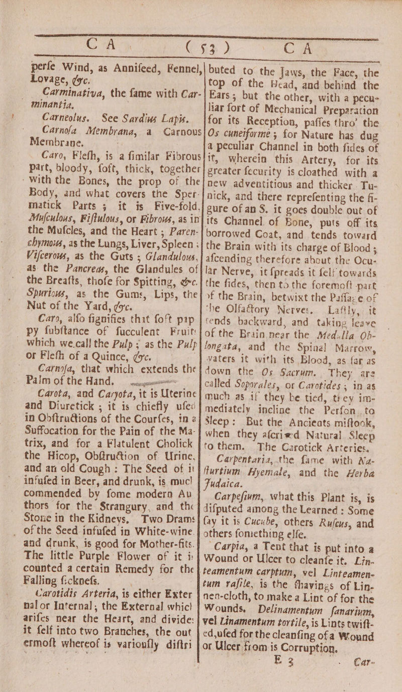 GCA“ Lovage, ¢yc. gninantia, Carneolus. See Sardius Lapis. Membrane. matick Parts ; the Mufcles, and the Heart ; Paren- Vifcerous, as the Guts ; Glandulous, the Breafts, thofe for Spitting, ec. Spurious, as the Gums, Lips, the Nut of the Yard, ¢sc. Cars, alfo fignifies that foft pap py fubftance of fucculent Fruit: which we.call the Pulp ; as the Pulp or Flefh of a Quince, ¢c. | Carnofa, that which extends the Carota, and Caryota, it is Uterine and Diuretick ; it is chiefly ufes in Obftructions of the Courfes, in a Suffocation for the Pain of the Ma- trix, and for a Flatulent Cholick the Hicop, Obftruction of Urine, and an old Cough : The Seed of it infufed in Beer, and drunk, is muc! commended by fome modern Au thors for the Strangury, and th« Stone in the Kidneys, Two Dram: _ of the Seed infufed in White- wine. and drunk, is good for Mother-fits. The little Purple Flower of it i: counted a certain Remedy for the Falling ficknefs. te Carotidis Arteria, is either Exter nal or Internal, the External whic! arifes near the Heart, and divide: it felf into two Branches, the out ermoft whereof is varioufly diftri C A buted to the Jaws, the Face, the top of the Bead, and behind the Ears; but the other, with a pecu- liar fort of Mechanical Preparation for its Reception, paffes thro’ the Os cuneiforme ; for Nature has dug a peculiar Channel in both fides of it, wherein this Artery, for its greater fecurity is cloathed with a new adventitious and thicker. Tu- nick, and there reprefenting the fi- gure of an $. it goes double out of borrowed Coat, and tends toward the Brain with its charge of Blood ; afcending therefore about the Ocu- lar Nerve, it {preads it {elf towards the fides, then to the foremoft part of the Brain, betwixt the Paffaye of ‘he Olfagtory Nerves. Lafily, it tends backward, and. taking leave of the Brain near the Med-lla Ob- longata, and the Spinal Marrow, vaters it with its Blood, as far as down the Os Sacrum. They ara called Sopsrales, or Carotides ; in as much as if they be tied, trey im- mediately incline the Perfon..to Sleep: But the Ancieats miftook, when they afcried Natural Sleep tothem. The Carotick Arteries. Carpentaria, the fame with Na- furtium Hyemale, and the Herba Judaica. | Carpefium, what this Plant is, is difputed among the Learned : Some fay it is Cucube, others Ruseus, and others fomething elfe, -Carpia, a Tent that is put into a Wound or Ulcer to cleanfe it. Lin- tum rafile, is the thavings of Lin- nen-cloth, to make a Lint of for the Wounds, Delinamentym fanarium, vel Linamentum tortile, is Lints twift- ed,ufed for the cleanfing ofa Wound or Ulcer from is Corruption. E 3 ; Car-