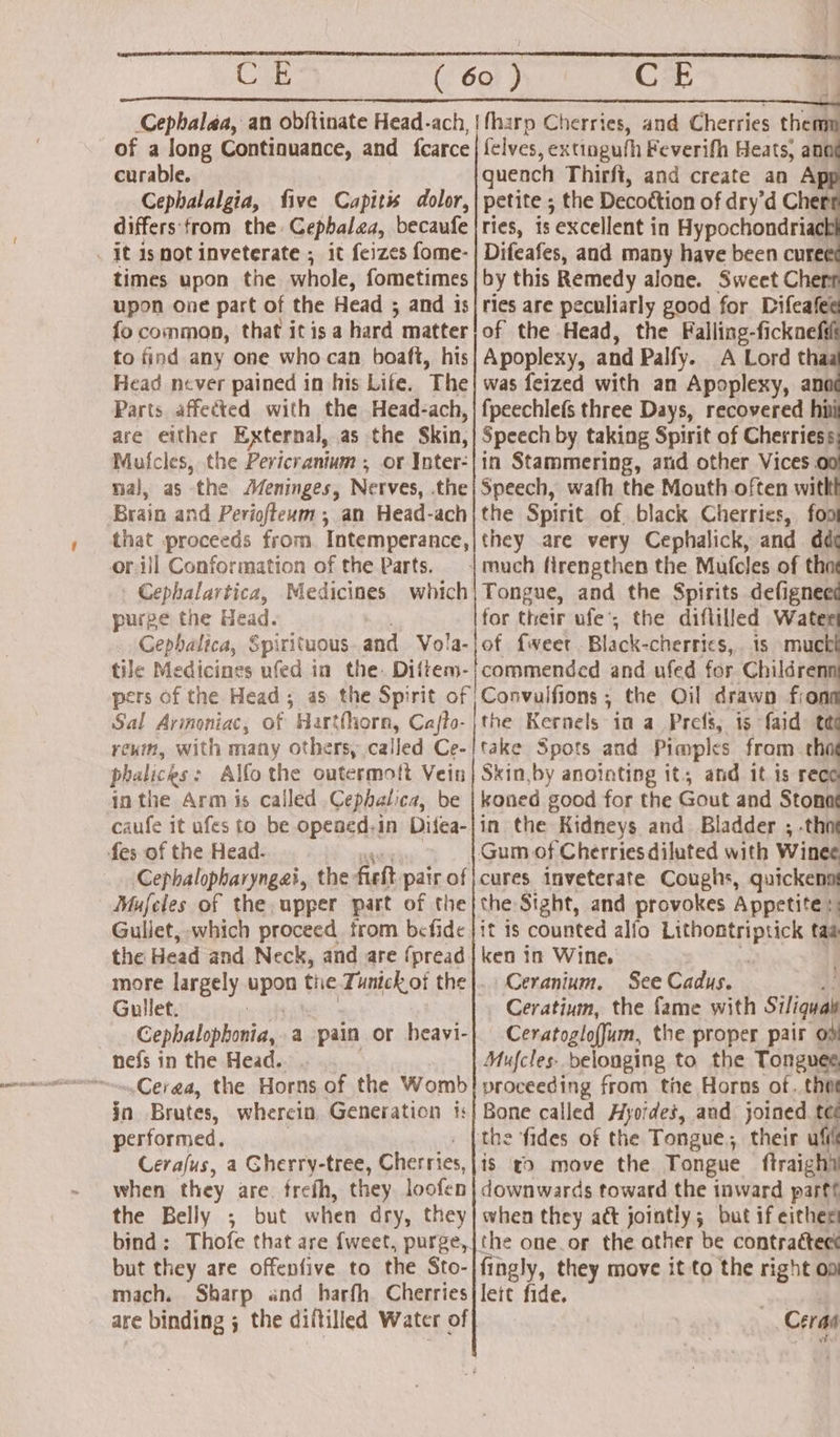 Cat of a long Continuance, and {carce curable. Cephalalgia, five Capitis dolor, differs from the Cephalea, becaufe . it ismot inveterate ; it feizes fome- times upon the whole, fometimes upon one part of the Head ; and is fo common, that itis a hard matter to find any one who can boaft, his Head never pained in his Life. The Parts affected with the Head-ach, are either External, as the skin, Mufcles, the Pericranium ; or Inter: nal, as “the Meninges, Nerves, the Brain and Periofteum ; an Head-ach that proceeds from. Intemperance, or. ill Conformation of the Parts. - Cephalartica, Medicines which purge the Head. CE felves, extingufh Feverifh Heats, an quench Thirft, and create an A petite ; the Decottion of dry’d Cher ries, is excellent in Hypochondriacl Difeafes, and many have been cure by this Remedy alone. Sweet Ch ries are peculiarly good for Difeaf of the Head, the Falling-ficknefs Apoplexy, and Palfy. A Lord tha was feized with an Apoplexy, an fpeechlefs three Days, recovered hit Speech by taking Spirit of Cherries, in Stammering, atid other Vices 00 Speech, wafh the Mouth often witht the Spirit of black Cherries, foo they are very Cephalick, and di Tongue, and the Spirits defignees for their ufe’; the diftilled Water is mucti pers of the Head ; Sal Arinoniac, of Harthhora, Cajto- renin, with many others, called Ce- phalices: Alfo the outermolt Vein inthe Arm is called .Cephalica, be caufe it ufes (o be opeaed.in Ditea- fes of the Head. Cephalopharyngai, the fieft pair of Mufeles of the upper part of the Gullet, which proceed. from befide the Head and Neck, and are fpread more largely apen thie Tunickot the Gullet. Conbalseingia, a pain or heavi- nefs in the Head.. -.Cerga, the Horns of the Womb jn Brutes, wherein, Generation is performed. Cerafus, a Gherry-tree, Cherries, when they are. trefh, they loofen the Belly ; but when dry, they but they are offenfive to the Sto- mach. Sharp and harfh Cherries are binding ; the diltilled Water of Convulfions ; the Qil drawn fiona ithe Kernels ia a Prefs, is {aid tee take Spots and Pimples from th Skin by anointing it, and it is rece koned good for the Gout and Stonat in the Kidneys and. Bladder ; .thnt Gum of Cherries diluted with Winee cures inveterate Coughs, quickena the Sight, and provokes Appetite: it is counted alfo Lithontriptick taa ken in Wine. Ceranium. See Cadus. Ceratiuim, the fame with Siliqual Ceratoglofjum, the proper pair ow Mufcles- belonging to the Tongues proceeding from the Horns of. thot Bone called Hyoides, and joined. tet the fides of the Tongue. their uli is ro move the Tongue ftraighh downwards toward the inward parftt when they act jointly; but if either the one.or the other be contracteck fingly, they move it to the right oo leit fide. j Cerraa vt