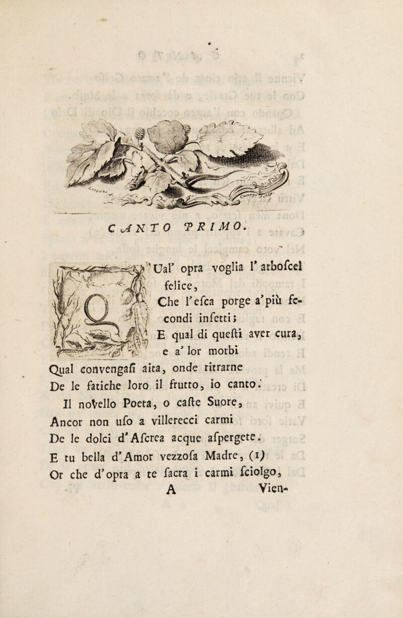 » ■ ''vT ÌY ^■'Ual’ opra voglia 1’arbofcel felice, |a Che l’efca porge a’più fc- condi infetti» * E qual di quelli aver cura, ti) . e a’lor morbi Qual convengali aita, onde ritrarne De le fatiche loro il frutto, io canto.' Il nodello Poeta, o calle Suore, Ancor non ufo a villerecci carmi De le dolci d’Aferea acque afpergete. E tu bella d’Amor vezzofa Madre, (i) Or che d’opra a te facra i carmi fciolgo, A Vieti-