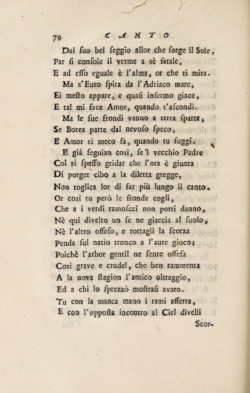 79 Dal fuo bel feggio allor che forge il Sole, Par fi confole il verme a sè fatale, E ad elfo eguale è l’alma, or che ti mira. Ma s’Euro fpira da l’Adriaco mare, Ei metto appare, e quali infermo giace, E tal mi face Amor, quando t’afcondi. Ma le fue frondi vanno a terra fpartc, Se Borea parte dal nevofo fpeco, E Amor sì meco fa, quando tu fuggi. E già feguian così, fe ’l vecchio Padre Col sì fpelfo gridar che l’ora è giunta Di porger cibo a la diletta gregge, Non togliea lor di far più lungo il canto • Or così tu però le fronde cogli, Che a i verdi ramofcei non porti danno. Nè qui divelto un fe ne giaccia a! Cuoio, Nè l’altro offefo, e rottagli la fcorza Penda fui natio tronco a l’aure gioco ; Poiché l’arbor gentil ne fente offe fa Così grave e crudel, che ben rammenta A la nova ftagion l'antico oltraggio. Ed a chi lo fprezzò moftrafi avaro. Tu con la manca mano i rami afferra, E con l’oppofta incontro al Ciel divelli