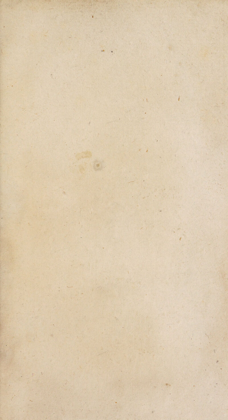 •* . V / ; . ( \ y V f 9- . p -<■ v