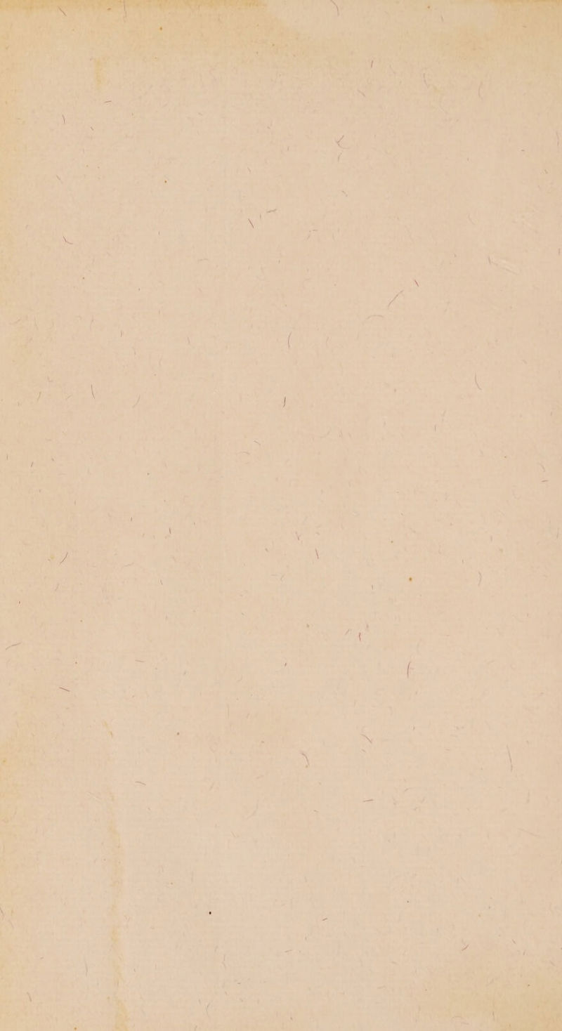 P A ay r ren: oe 1 Pa i. ey a ane