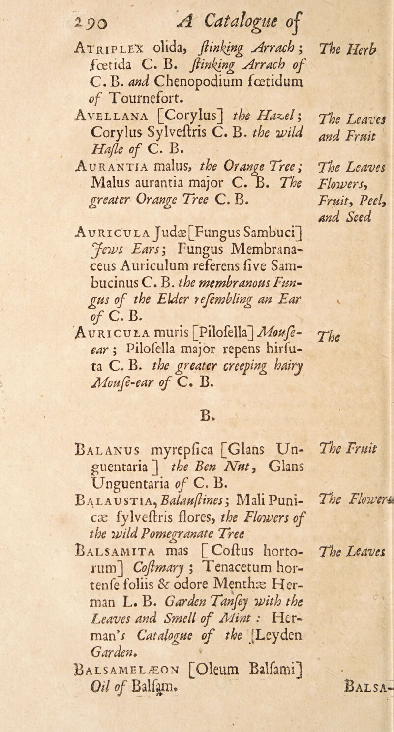 A Tripled olid a, flunking Arrach; ioetida C. B. finking Arrach of C. B. and Chenopodium fcetidum of Tournefort. Avellana [Corylus] the Haz,el; Corylus Sylveftris C. B. the wild Hafie of C. B* Aurantia mains, the Orange Tree; Malus aurantia major C. B. The greater Orange Tree C. B. Auricula J udae [Fungus Sambuci] Jews Ears; Fungus Membrana- ceus Auriculum referens live Sam- bucinus C. B. the membranous Fun¬ gus of the Elder yefembling an Ear of C. B« Auricula muris [Pilofellaj Moufe- ear; Pilofella major repens hirfu- ta C. B. the greater creeping hairy Mcufe-ear of C. B. B. Balanus myrepfica [Gians Un- guentaria *] the Ben Nut, Gians Unguentaria of C. B. Balaustia, Balauflines; Mali Puni¬ er fylveftris flores, the Flowers of the wild Pomegranate Tree Balsamita mas [Coitus horto- rum] Cofmary ; Tenacetum hor- tenfe foliis &amp; odore M.enrh:c Her¬ man L. B. Garden Tanfey with the heaves and Smell of Mint : Her- man’i Catalogue of the [Leyden Garden• Balsamelaeon [Oleum Balfami] Oil of Balfairu The Herb The Leaves and Fruit The Leaves Flowersy Fruit, Peels and Seed The The Fruit The Flowers* The Leaves Balsa-