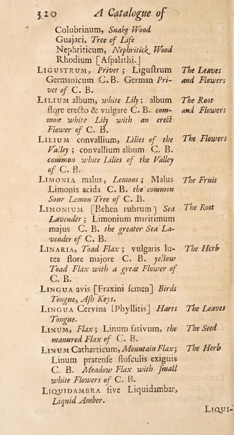 Colubrinum, Snake Wood Guajaci, Tree of Life Nephriticum, Nephritic^. Wood Rhodium [Afpalathi.J Ligustrum, Privet ; Liguftrum Germanicum C. B. German Pri- vet of C. B. Lxlixjm album, white Lily; album flore erefto &amp; vulgare C. B» com¬ mon white Lily with an erebt Flower of C. B. L ilium convallium, Lilies of the Valley ; convallium album C. B. common white Lilies of the Valley of C. B. Limoni a mains , Lemons ; Malus Limonia acida C. B* the common Sony Lemon Tree of C* B. Limonium [Behen rubrum] Sea Lavender; Limonium maritimum majus C. B. the greater Sea La- vendey of C. B. Linaria, Toad Flax ; vulgaris lu- tea flore majore C. B. yellow Toad Flax with a great Flower of C. B. Lingua avis [Fraxini femen] Birds Tongue, Afh Keys. Lingua Cervina LPhyllitis] Harts Tongue* Linum, Flax; Linum fativum, the manured Flax of CL B. Linum Catharticum, Mountain Flax Linum pratenfe fiofculis exiguis C. B. Meadow Flax with fmall white Flowers of CL B. Liquidambra live Liquidambar, Liquid Amber* The Leaves and Flowers The Root and Flowers The Flowers Tloe Fruit The Roof The Herb The Leaves The Seed The Herb Liqjii-