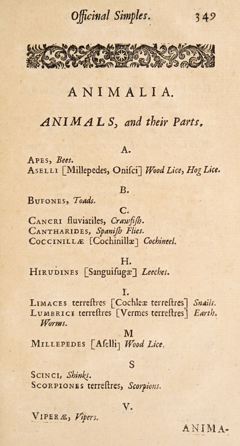 ANIMALIA. ANIMAL S3 and their Parts, A. Apes, Bees. Aselli [Millepedes, Onifci] Wood Lice, Hog Lice. B. Bufones, Toads. C. Cancri fluviatiles, Crawfijh. Cantharides, Spanijh Flies. CocciNiLLiE [Cochinillae] CochinteL H. Hirtjdines [Sanguifugae] Leeches. I. Limaces terreftres [Cochleae terreftres] Snath. Lumbrici terreftres [Vermes terreftres! Earth, .w Worms. M Millepedes [Afelli] Wood Lice. S Sexnci, Shinks. Scorpiones terreftres, Scorpions. V. Viper iE, Pipers. A N l M A