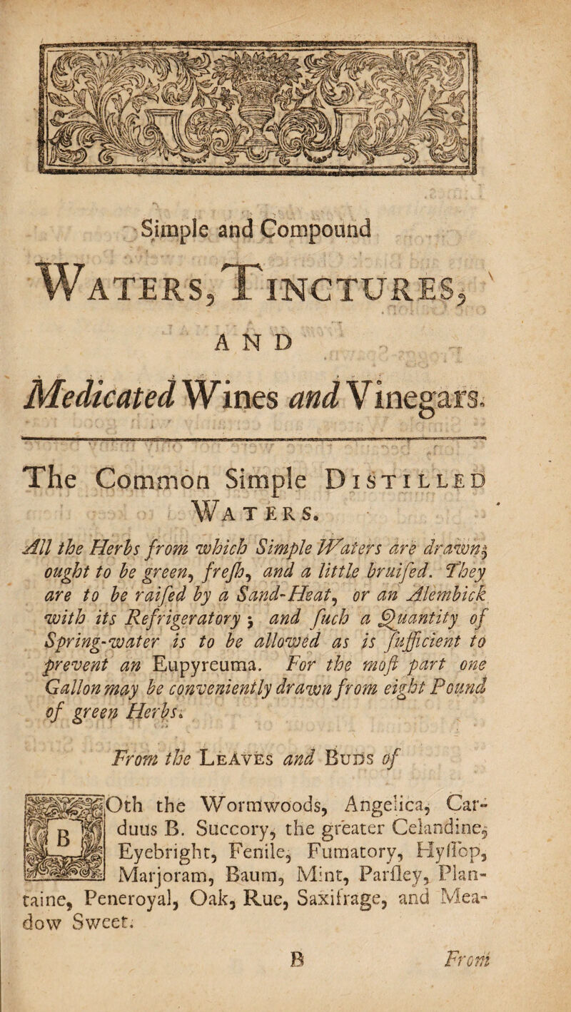 Simple and Compound Waters, Tinctures* AND Medicated Wines and Vinegars. The Common Simple Distilled Waters. All the Herbs from which Simple Waters are drawn § ought to be green, frejhy and a little bruifed. They are to be raifed by a Sand-Heat, or an Alembick with its Refrigeratory $ and fuch a Quantity of Spring-water is to be allowed as is fufficient to prevent an Eupyreuma. For the moft part one Gallon may be conveniently drawn from eight Pound of green Herbs; From the Leaves and Buds of Oth the Wormwoods, Angelica, Car- dims B. Succory, the greater Celandine, Eyebright, Penile, Fumatory, HylFop, Marjoram, Baum, Mint, Parfley, Plan- tame, Peneroyal, Oak, Rue, Saxifrage, and Mea¬ dow Sweet. B Front