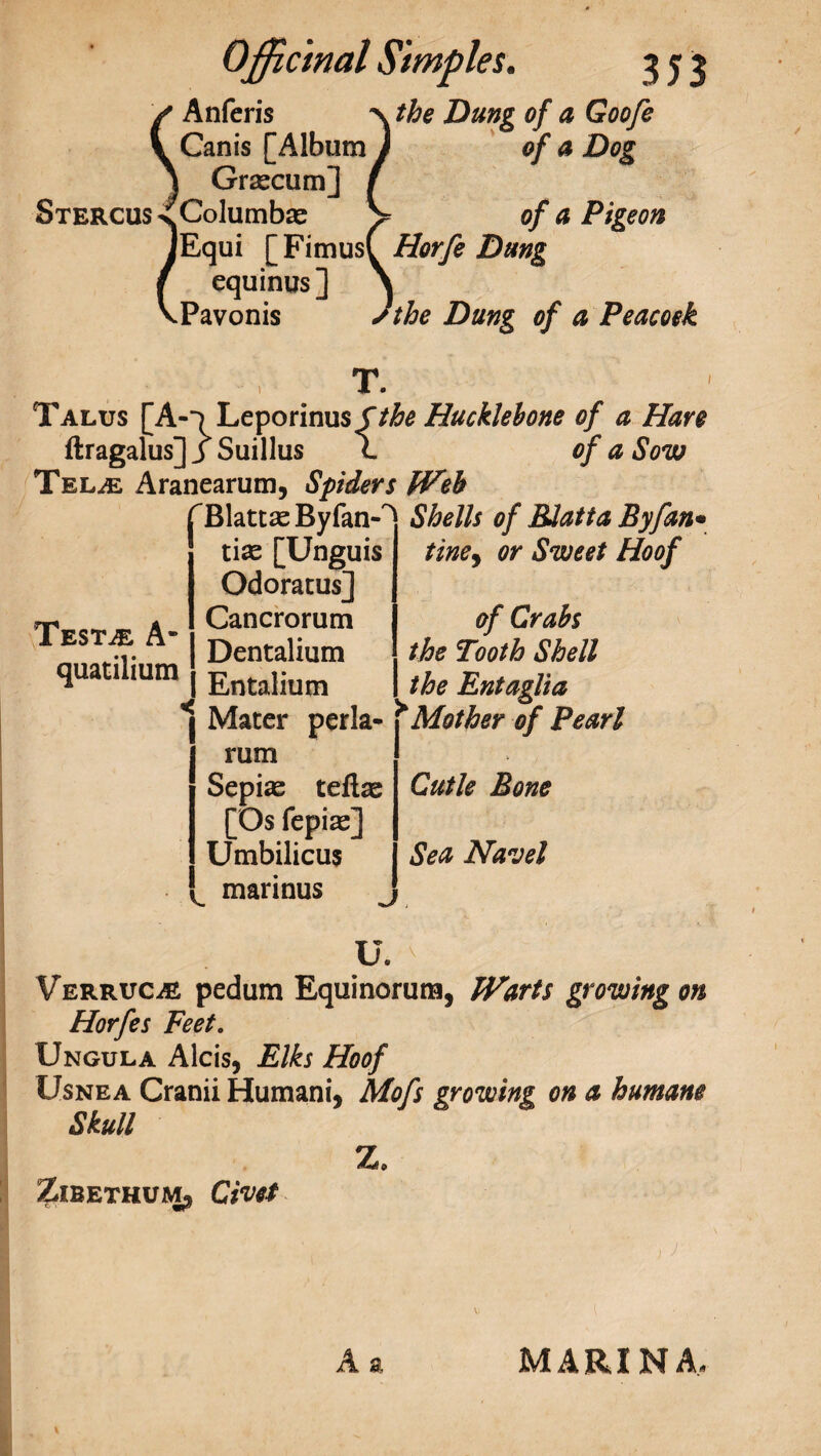 / Anferis x the Dung of a Goo/e i Canis [Album J of a Dog ) Grascum] / Stercus xColumbas > of a Pigeon [Equi [FimusC Horfe Dung equinus ] \ Jthe Dung of a Peacock .Pavonis T. Talus [Ao Leporinusfthe Hucklebone of a Hare ftragalus] j Suillus \ of a Sow Tel^e Aranearum, Spiders Web 'Blattas Byfan-^ Shells of BJatta By fan• tise [Unguis Odoratus] Cancrorum Dentalium Testae A- quacilium, EntaHum tine9 or Sweet Hoof of Crabs the Tooth Shell the Entaglia < Mater perla- >Mother of Pearl rum Sepias tefias [Os fepias] Umbilicus marinus Cutle Bone Sea Navel Verruca pedum Equinorum, Warts growing on Horfes Feet. Ungula Alcis, Elks Hoof Usnea Cranii Humani, Mofs growing on a humane Skull Z. Zibethum^ Civet j)