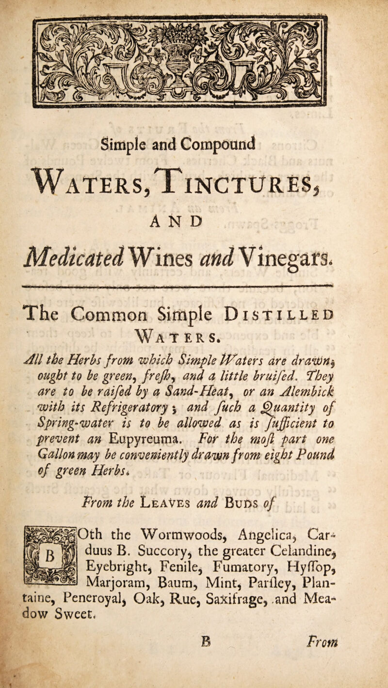 Simple and Compound Waters,Tinctures, AND Medicated W ines and V inegaf &amp; The Common Simple Distilled Waters. All the Herbs front ’which Simple IVaters are drawn*, ought to be green, frefh, and a little bruifed. ‘They are to be raifed by a Sand-Heat, or an Alembick •with its Refrigeratory j and fuch a Quantity of Spring-water is to be allowed as is jufficient to prevent an Eupyreuma. For the moft part one Gallon may be conveniently drawn from eight Pound of green Her bs * From the Leaves and Buns of Oth the Wormwoods, Angelica, Car- duus B. Succory, the greater Celandine* Eyebright, Fenile* Fumatory, Hyflop, Marjoram, Baum, Mint, Parfley, Pian- taine, Peneroyal* Oak, Rue, Saxifrage, .and Mea¬ dow Sweet*