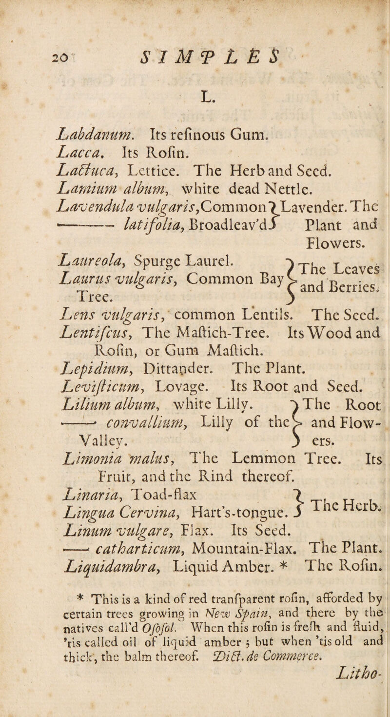 L. Labdanum. Its refmous Gum. Lacca. Its Rofm. LaEtuca, Lettice. The Herb and Seed. Lamium album, white dead Nettle, jLavendula vulgaris. Common 7 Lavender. The latifolia, Broadleav’d Plant and Flowers. Laureola. Spurge Laurel. Laurus vulgaris. Common Bay The Leaves and Berries. Tree. Lens vulgaris, common Lentils. The Seed. Lentifcus, The Maftich-Tree. Its Wood and Rofm, or Gum Maftich. Lepidium, Dittapder. The Plant. Levijlicum, Lovage. Its Root and Seed. Lilium album, white Lilly. *^The Root --- convallium, Lilly of the> and Flow- Valiev. j ers. Limoni a malus, The Lemmon Tree. Its Fruit, and the Rind thereof. Lin art a. To ad-flax Lingua Cervina, Hart’s-tongue. j 1 u Linum vulgare, Flax. Its Seed. -—•• catharticum, Mountain-Flax. The Plant. Liquidambra, Liquid Amber. * The Rofm. * Th is is a kind of red tranfparent rofln, afforded by certain trees growing in Nezv Spain, and there by the natives call’d Ofofol. When this rofin is frefh and fluid, ®tis called oil of liquid amber j but when’tisold and thick, the balm thereof. IDiff.de Commerce. Litho-