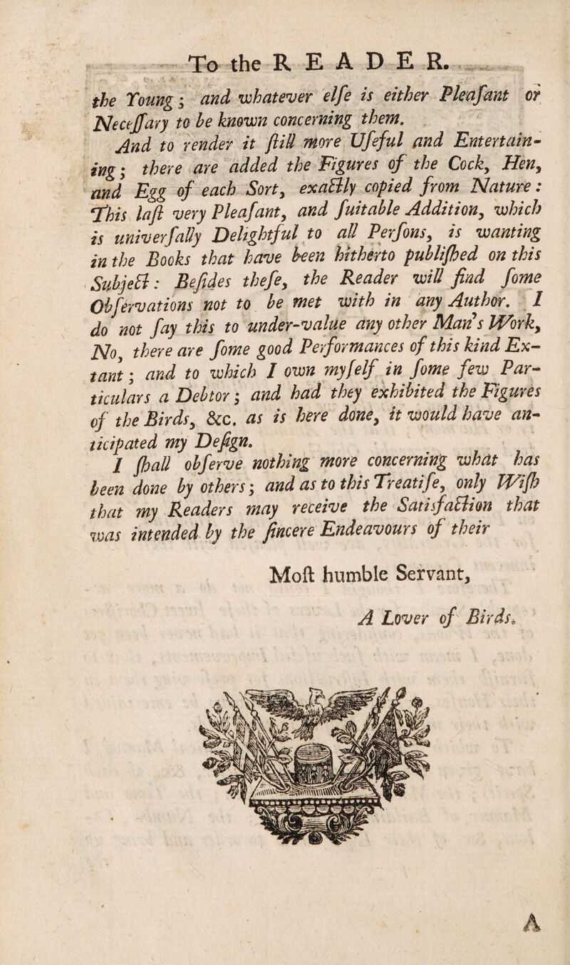 >b' * . \ i' ' ’ the Young; and whatever elfe is either Pleafant or Necejfavy to he known concerning them. And to render it ftitt more Ufeful and Entertain¬ ing ; there are added the Figures of the Cock, Hen, and Egg of each Sort, exaElly copied from Nature: ‘This lafl very P leaf ant, and fuitahle Addition, which is univerfatty Delightful to all Perfons, is wanting in the Books that have been hitherto publifhed on this Suhjettl: Befides thefe, the Reader will find feme Qbfervations not to he met with in any Author. 1 do not fay this to under-value any other Mans Work, No there are fome good Performances of this kind Ex¬ tant ; and to which / own my [elf in fome few Par¬ ticulars a Debtor; and had they exhibited the Figures of the Birds, &c. as is here done, it would have an¬ ticipated my Defign. I {hall obferve nothing more concerning what has been done by others', and as to thisTreatife, only Wifh that my Readers may receive the Satisfaction that ■was intended by the fincere Endeavours of their Moft humble Servant, A Lover of Birds*