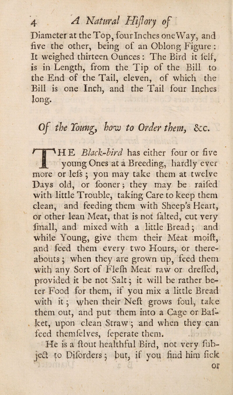 g 4 A Natural Hi (lory of Diameter at the Top, four Inches oneWay, and five the other, being of an Oblong Figure : It weighed thirteen Ounces: The Bird it l'elf, is in Length, from the Tip of the Bill to the End of the Tail, eleven, of which the Bill is one Inch, and the Tail four Inches long. Of the Young, how to Order them, &c. s- T^HE Black-bird has either four or five 1 young Ones at a Breeding, hardly ever more or lefs; you may take them at twelve Days old, or looner; they may be raifed with little Trouble, taking Care to keep them clean, and feeding them with Sheep's Heart, or other lean Meat, that is not Baited, cut very fmall, and mixed with a little Bread; and while Young, give them their Meat moifi, and feed them every two Hours, or there¬ abouts ; when they are grown up, feed them with any Sort of Flelh Meat raw or drelfed, provided it be not Salt; it will be rather be¬ tel* Food for them, if you mix a little Bread with it; when their Neft grows foul, take them out, and put them into a Cage or Bas¬ ket, upon clean Straw; and when they can feed themfelves, feperate them. He is a ftout healthful Bird, not very fub- je£t to Diforders; but, if you find him lick QX t, t